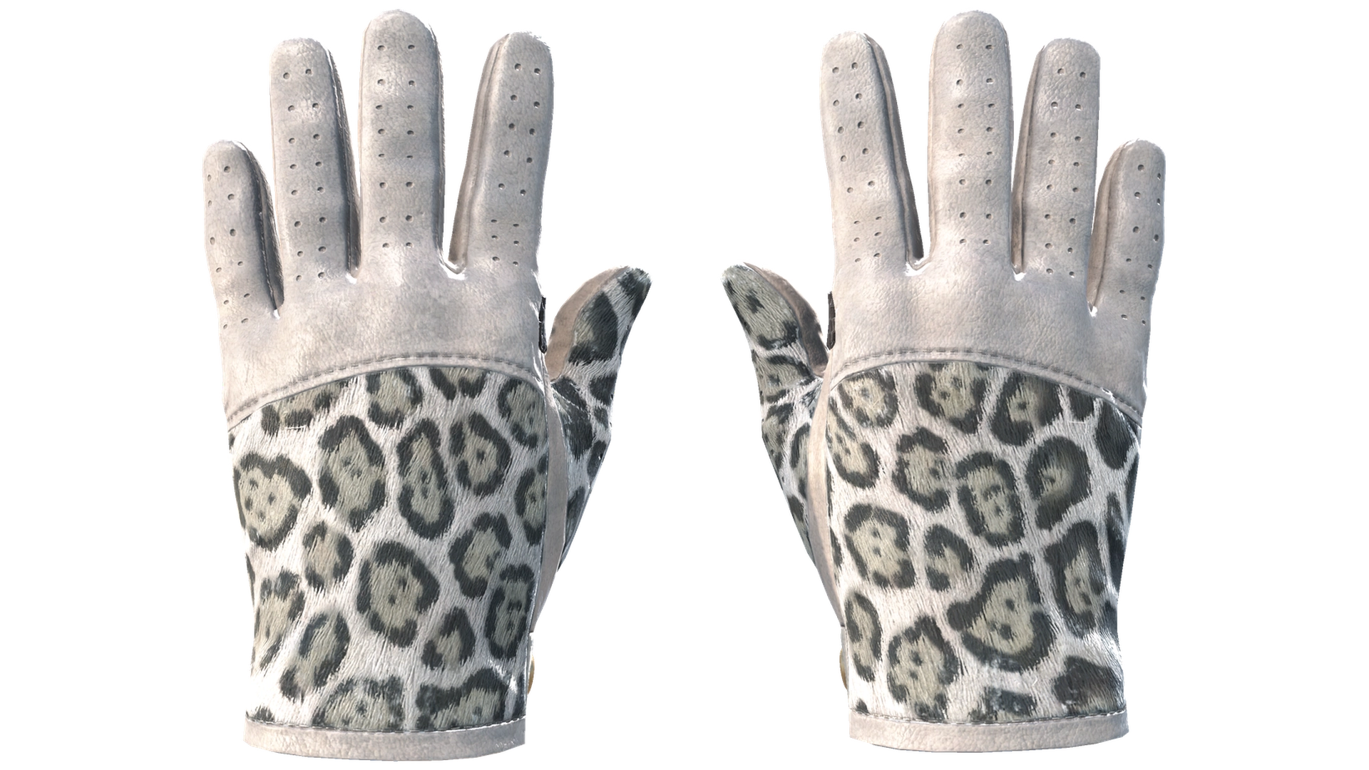 Snow Leopard image