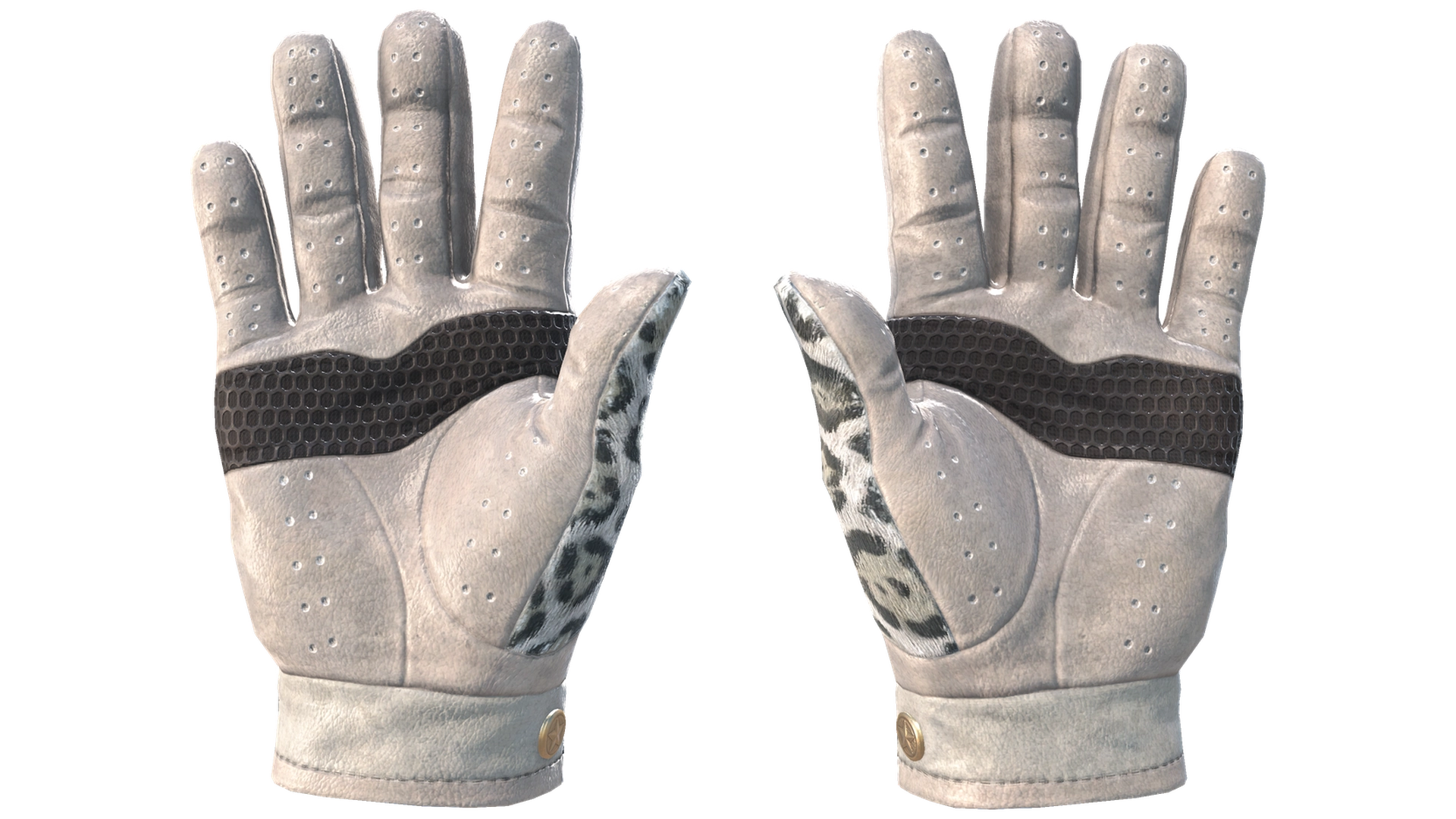 Snow Leopard image