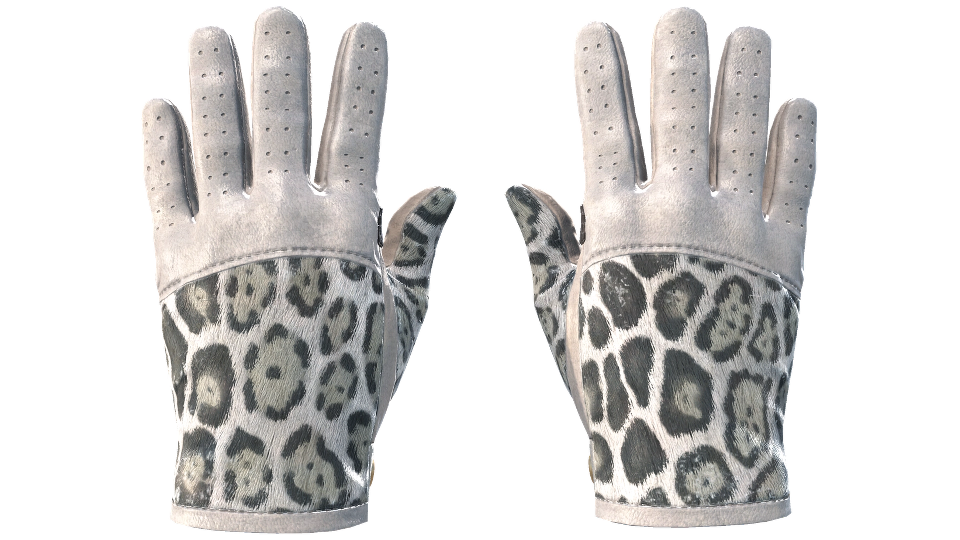Snow Leopard image