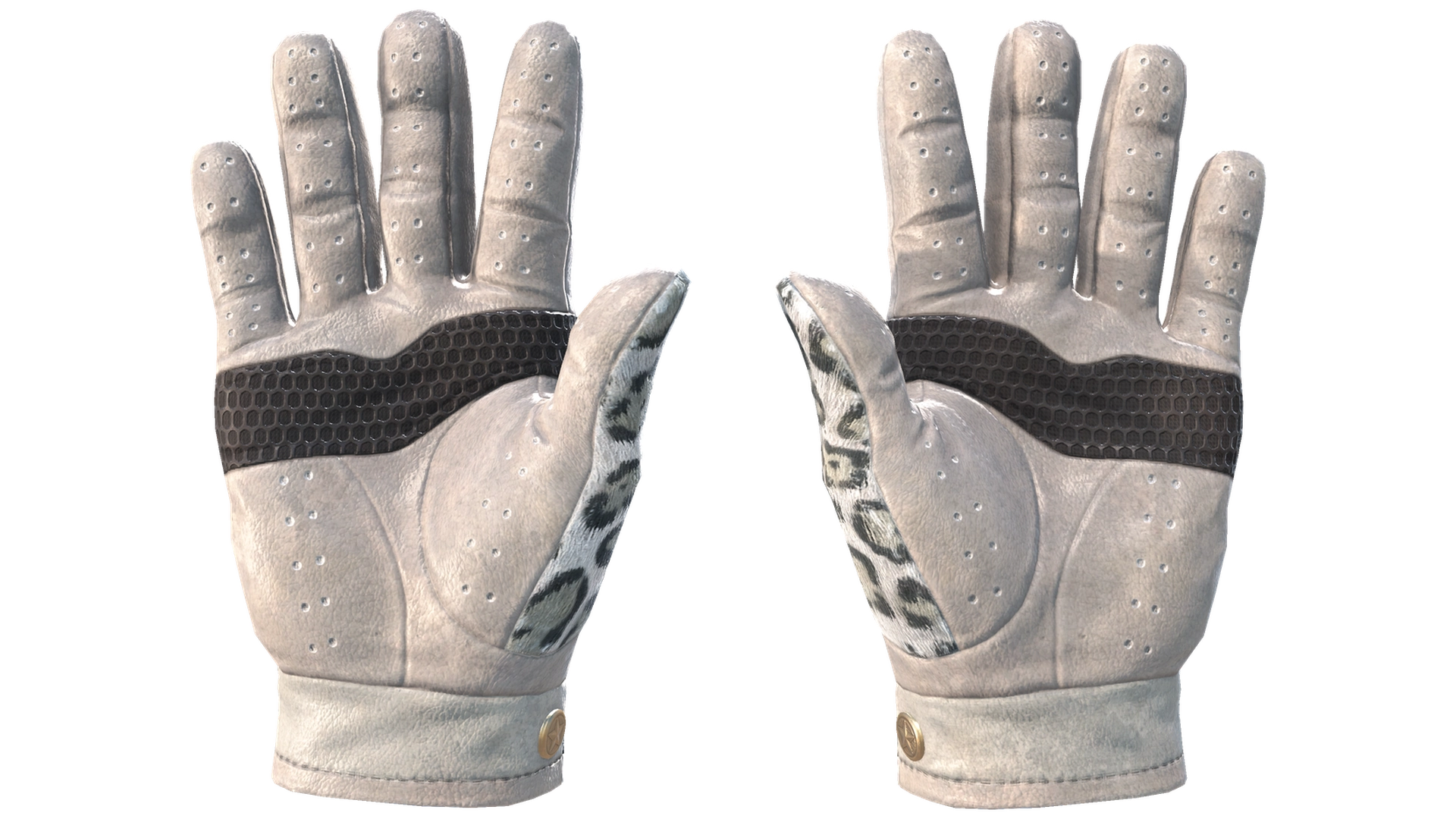 Snow Leopard image