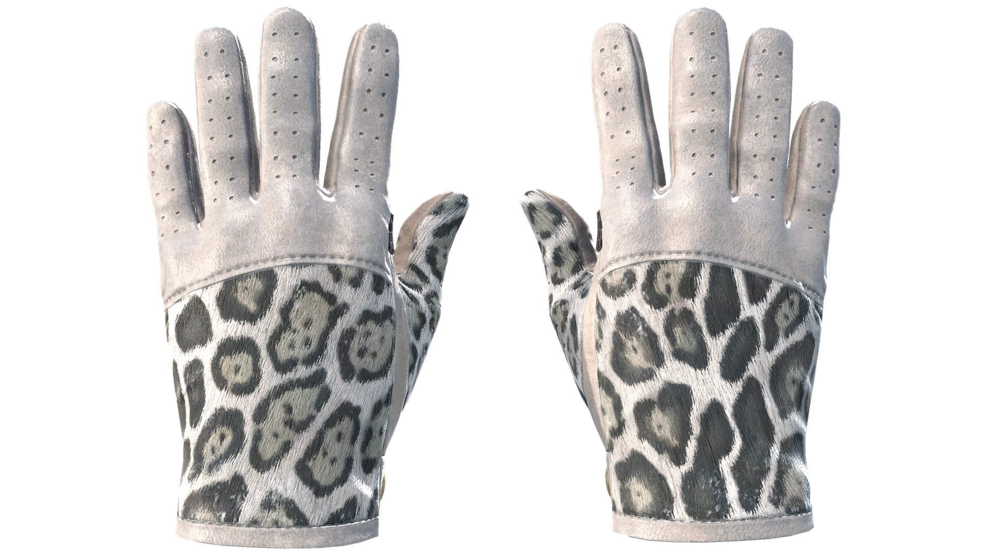 Snow Leopard image