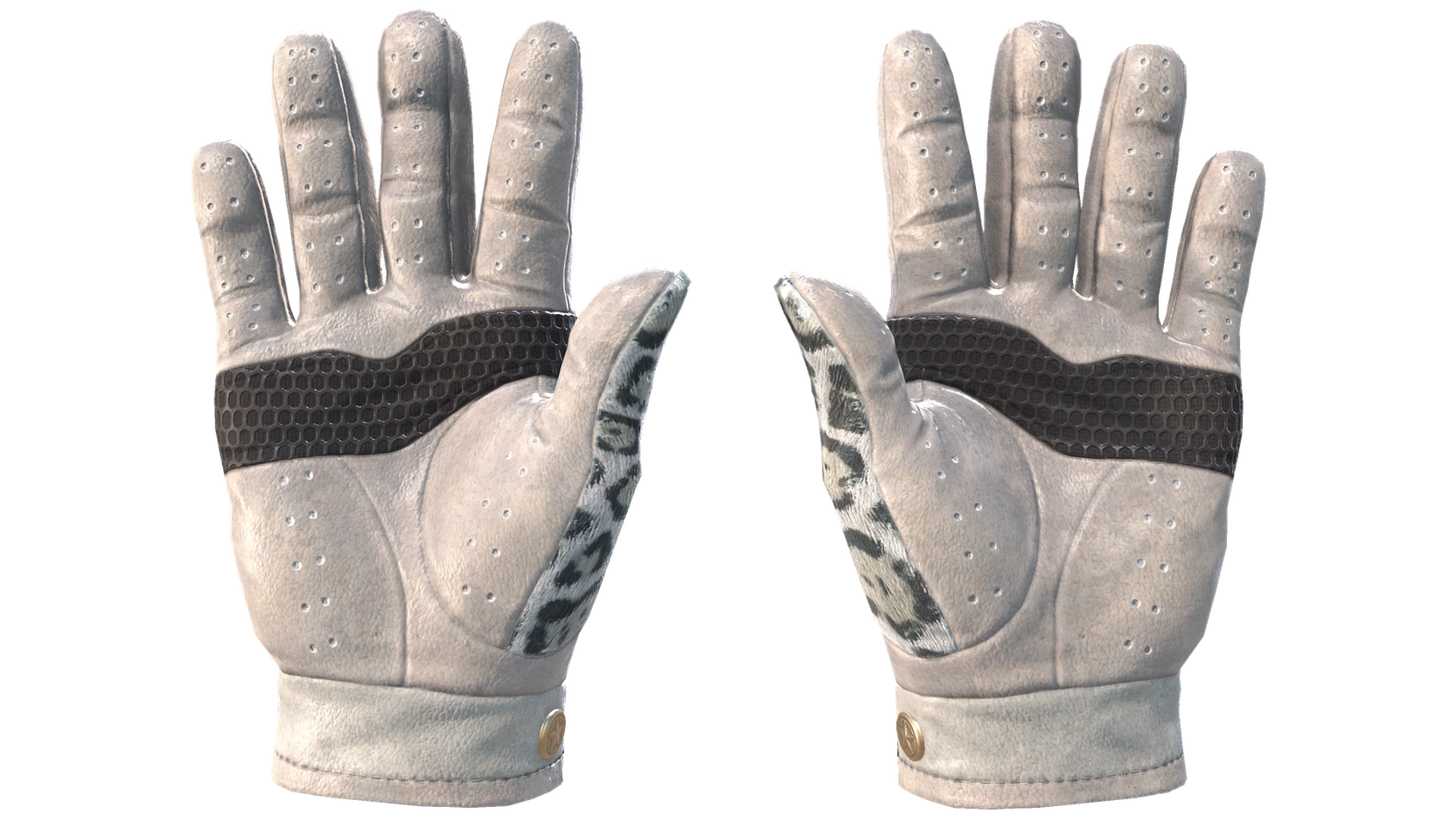 Snow Leopard image