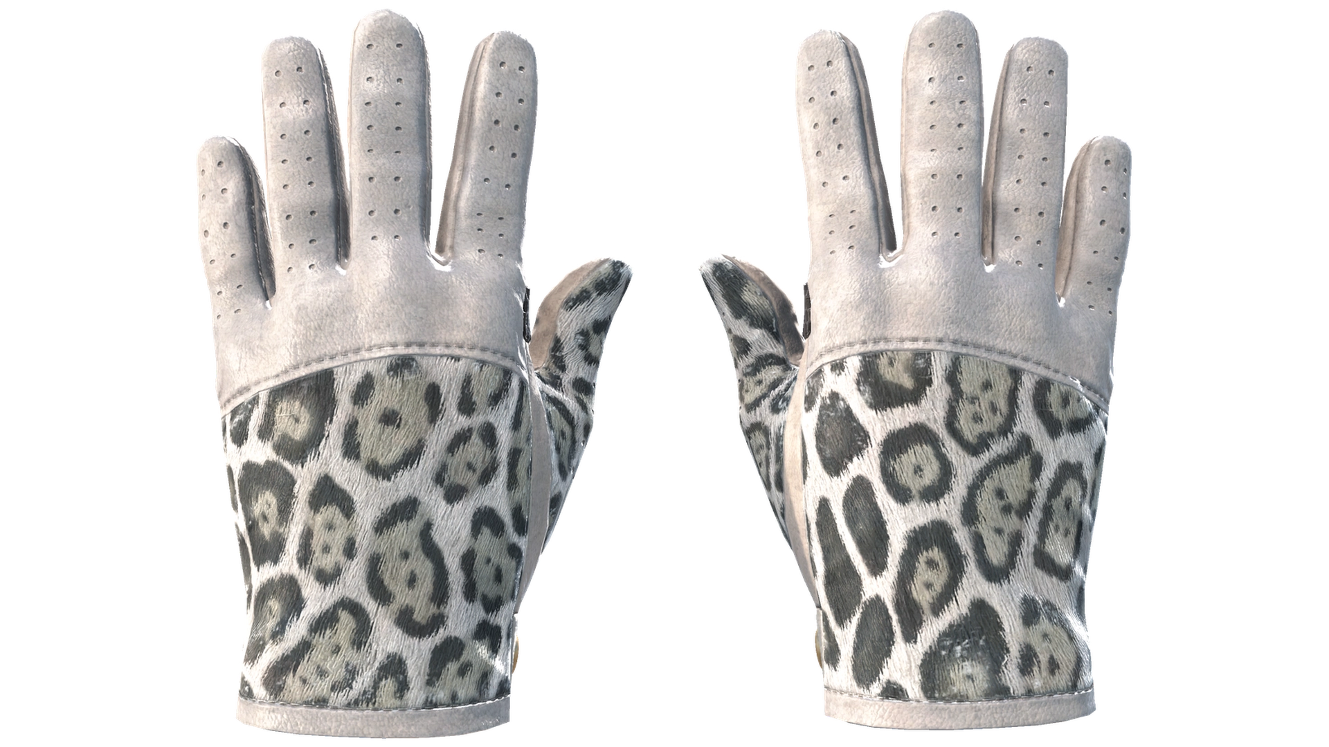 Snow Leopard image