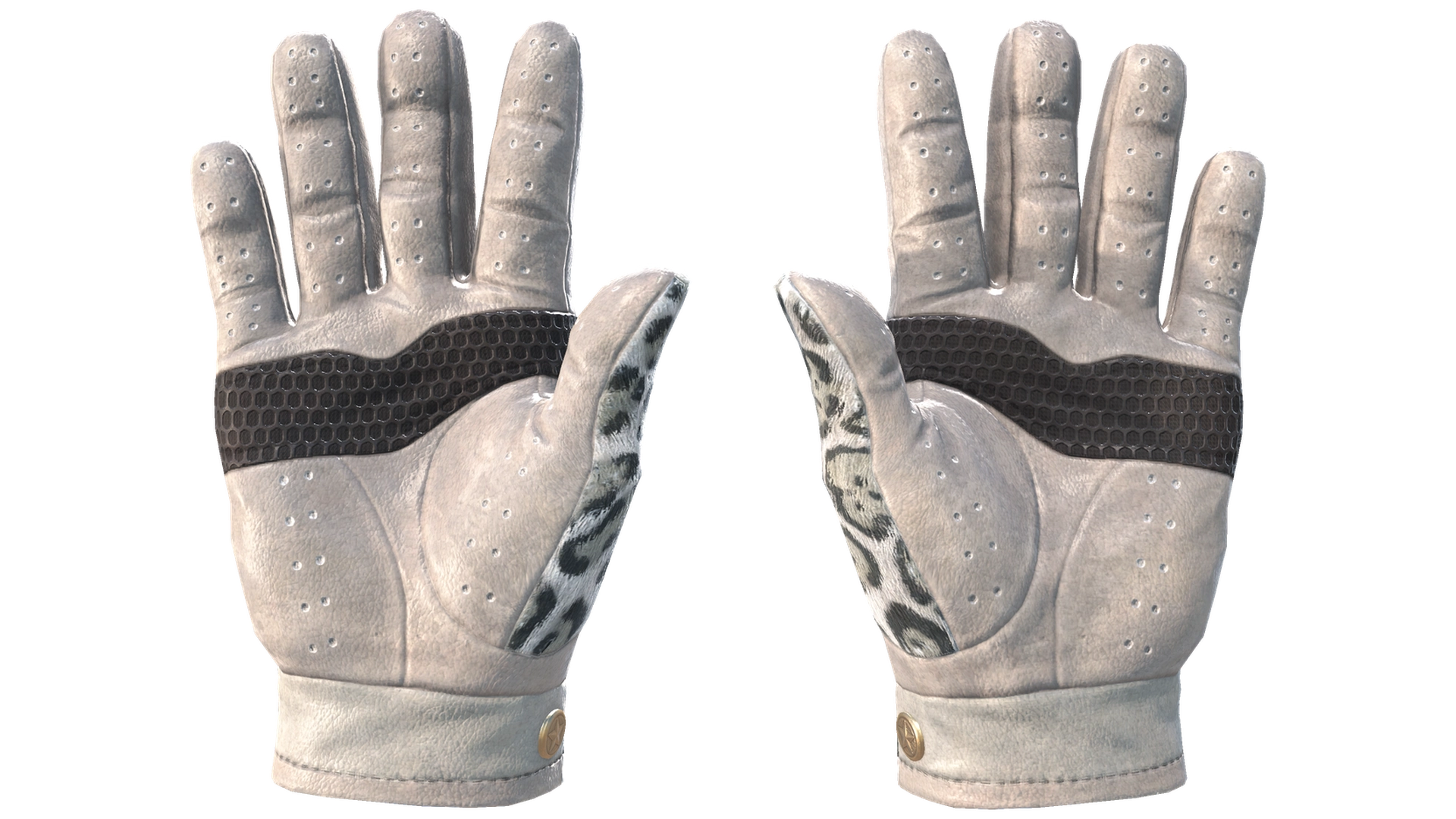 Snow Leopard image