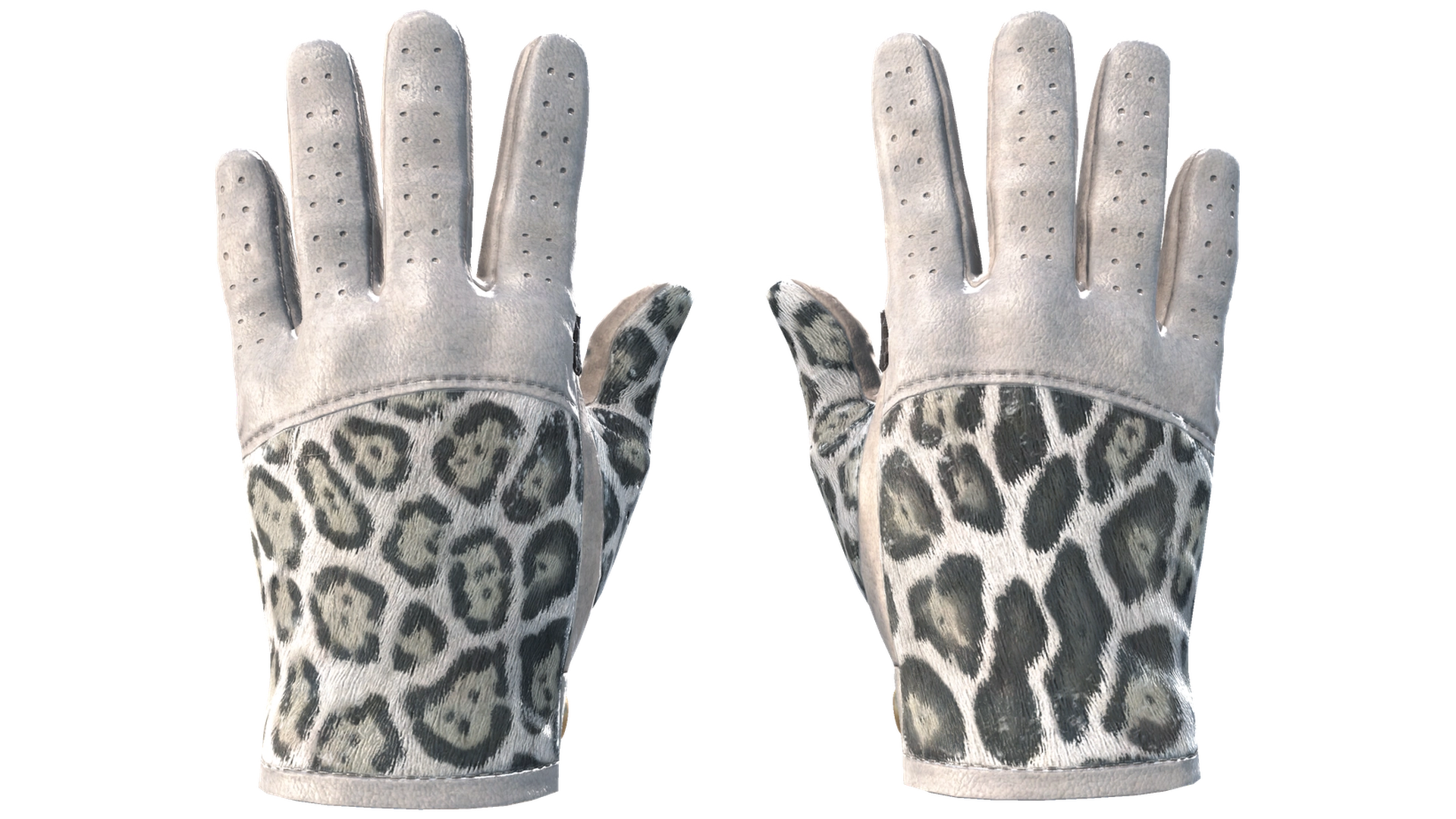 Snow Leopard image