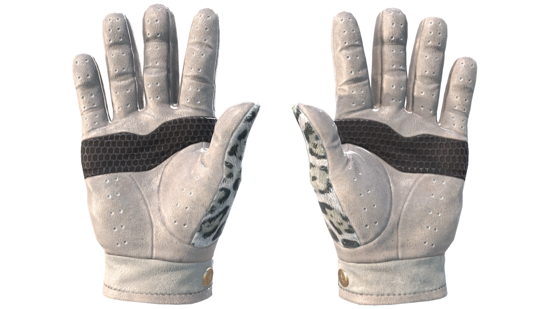 Snow Leopard image