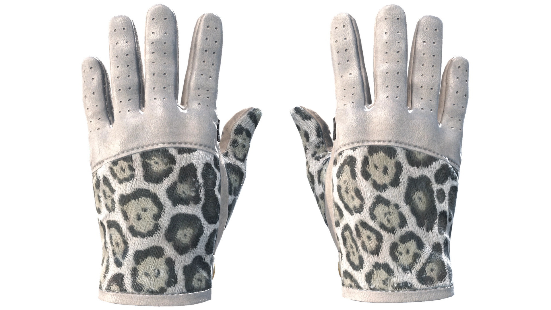 Snow Leopard image