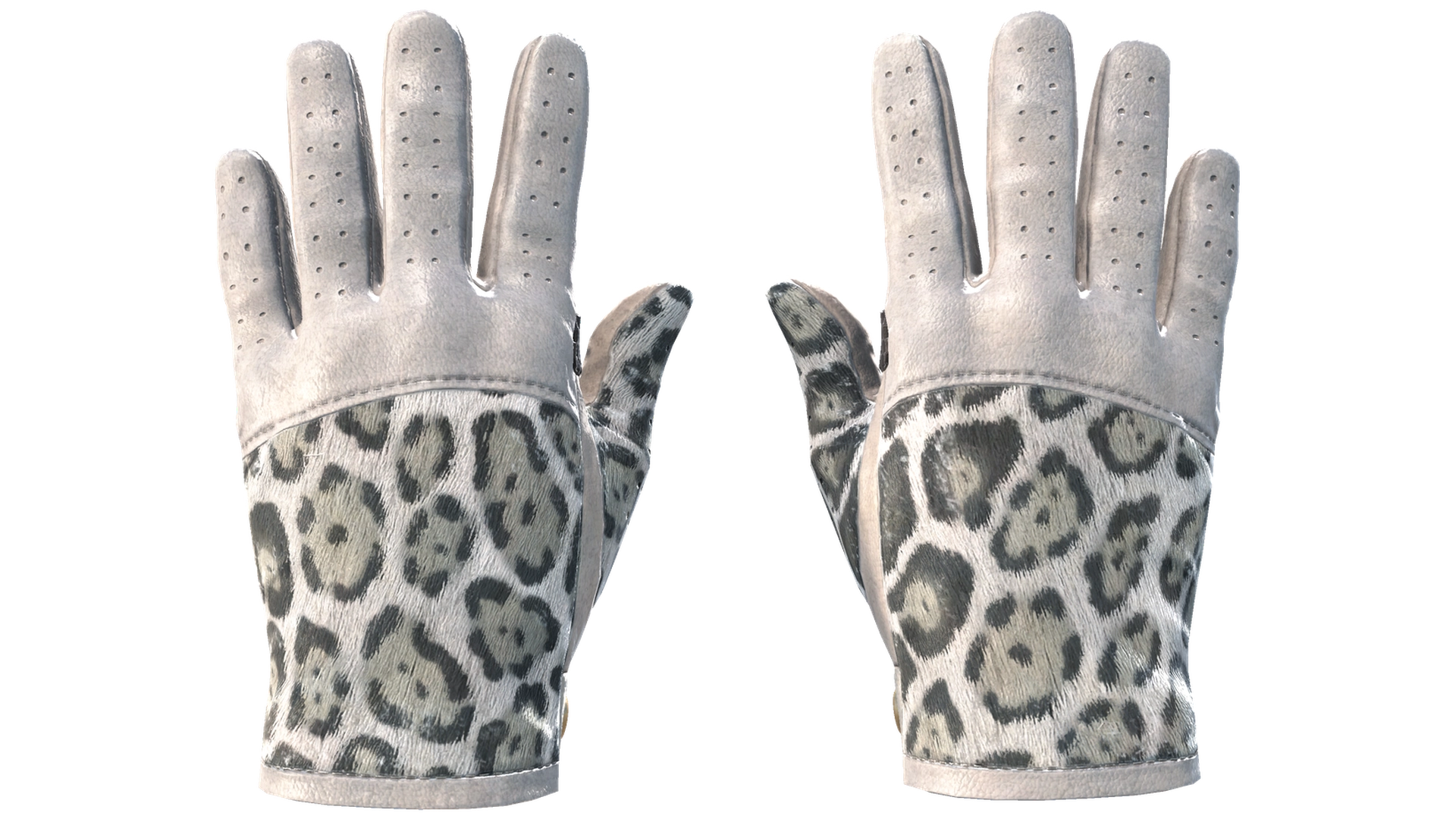 Snow Leopard image