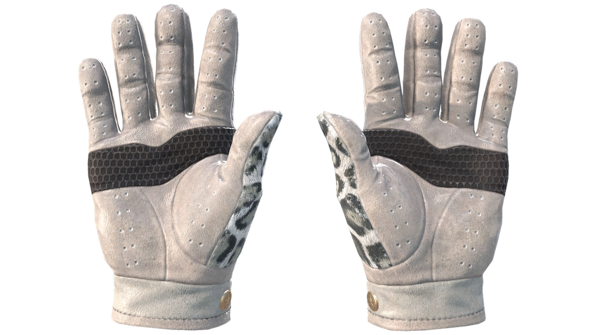Snow Leopard image