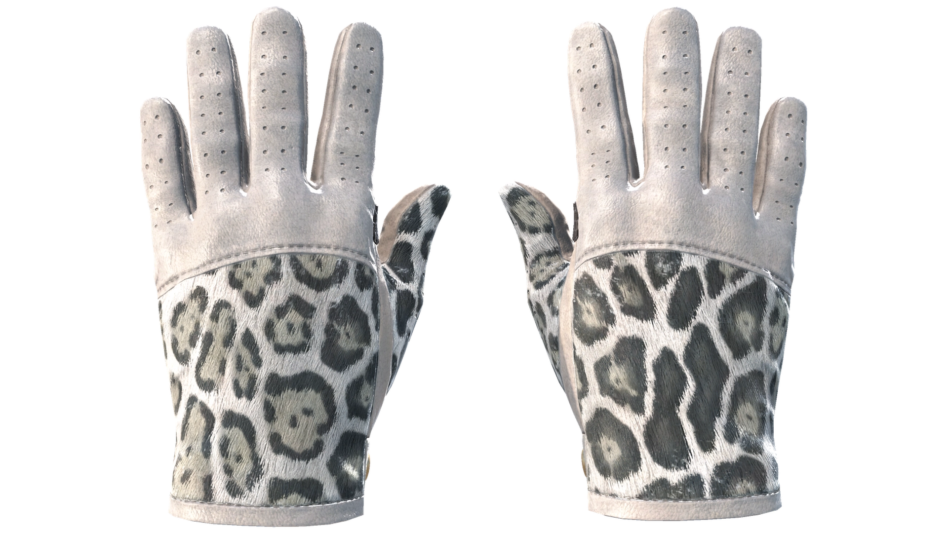 Snow Leopard image