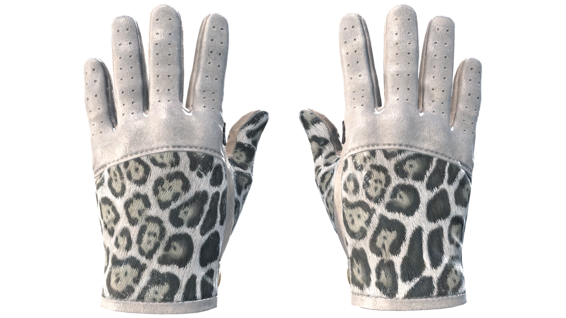 Snow Leopard image