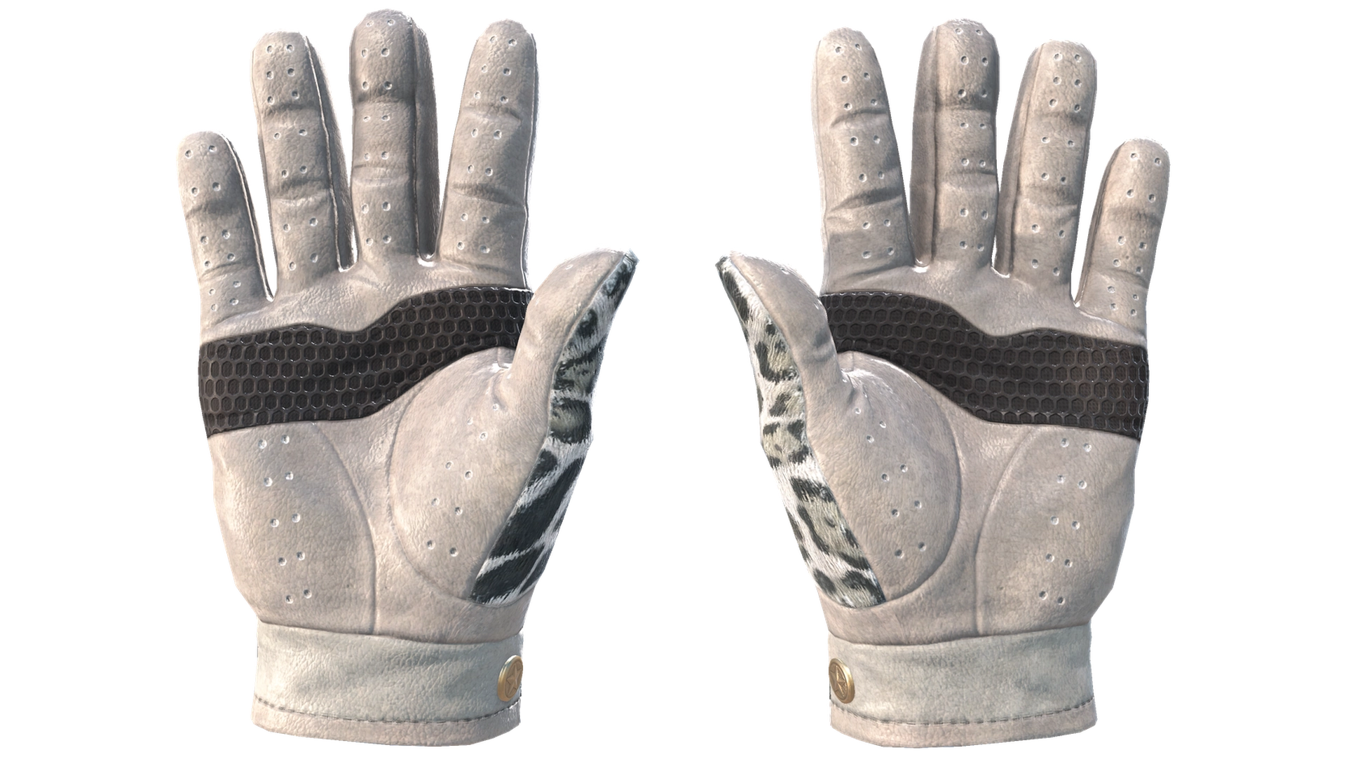 Snow Leopard image