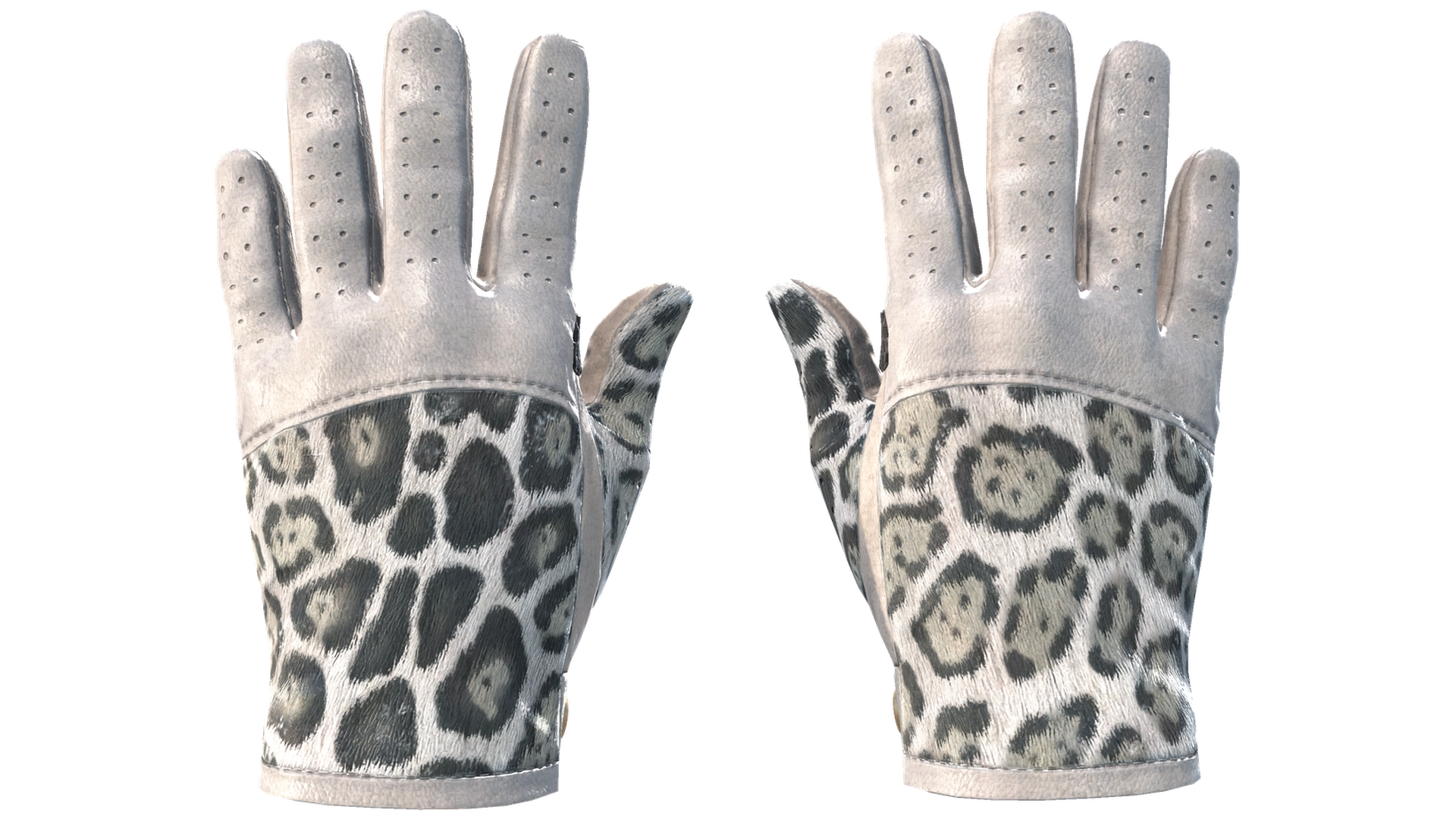 Snow Leopard image