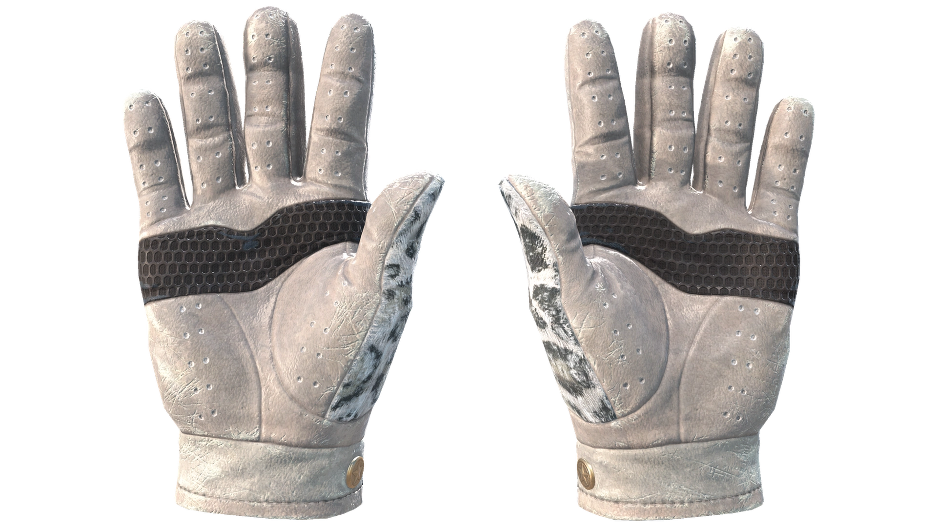 Snow Leopard image