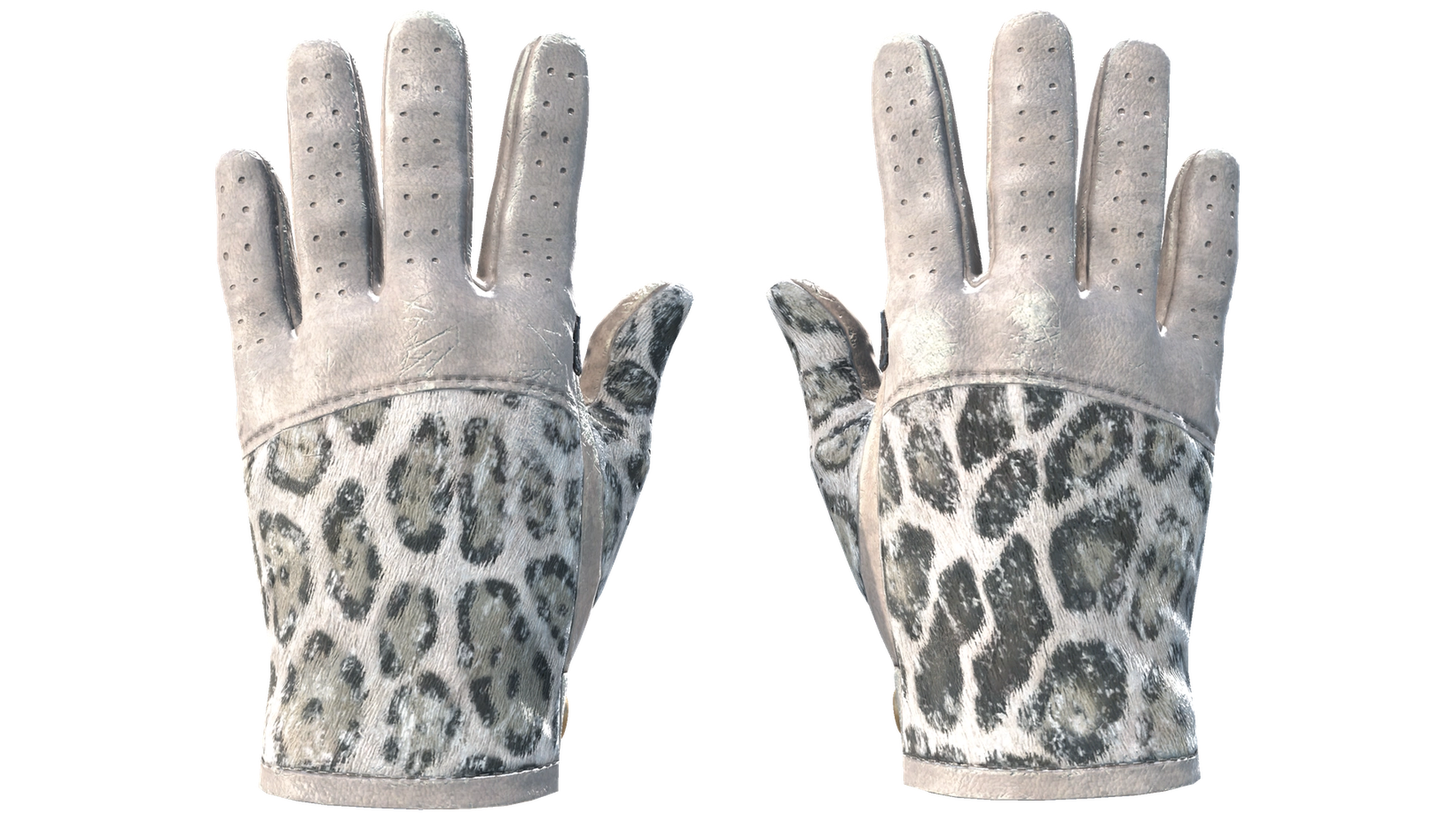 Snow Leopard image
