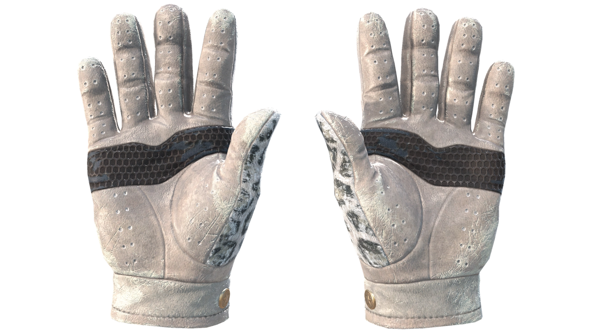 Snow Leopard image