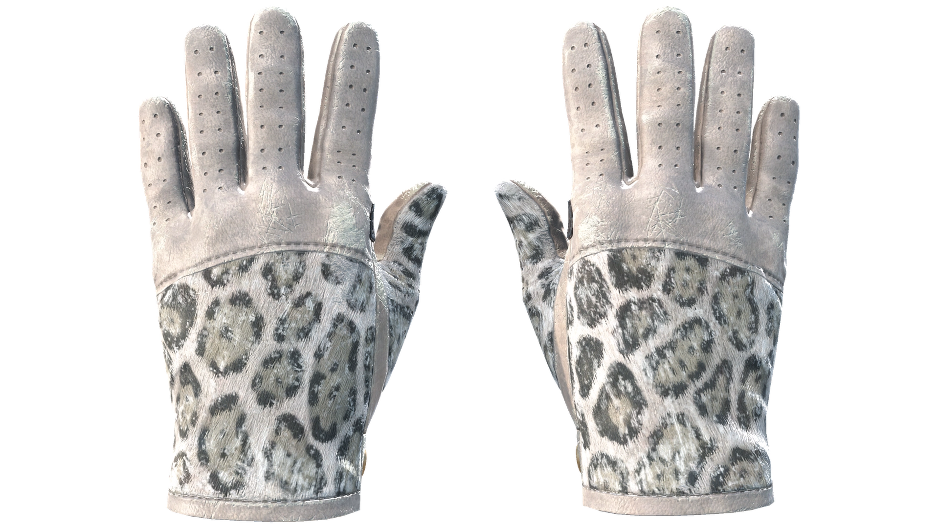 Snow Leopard image