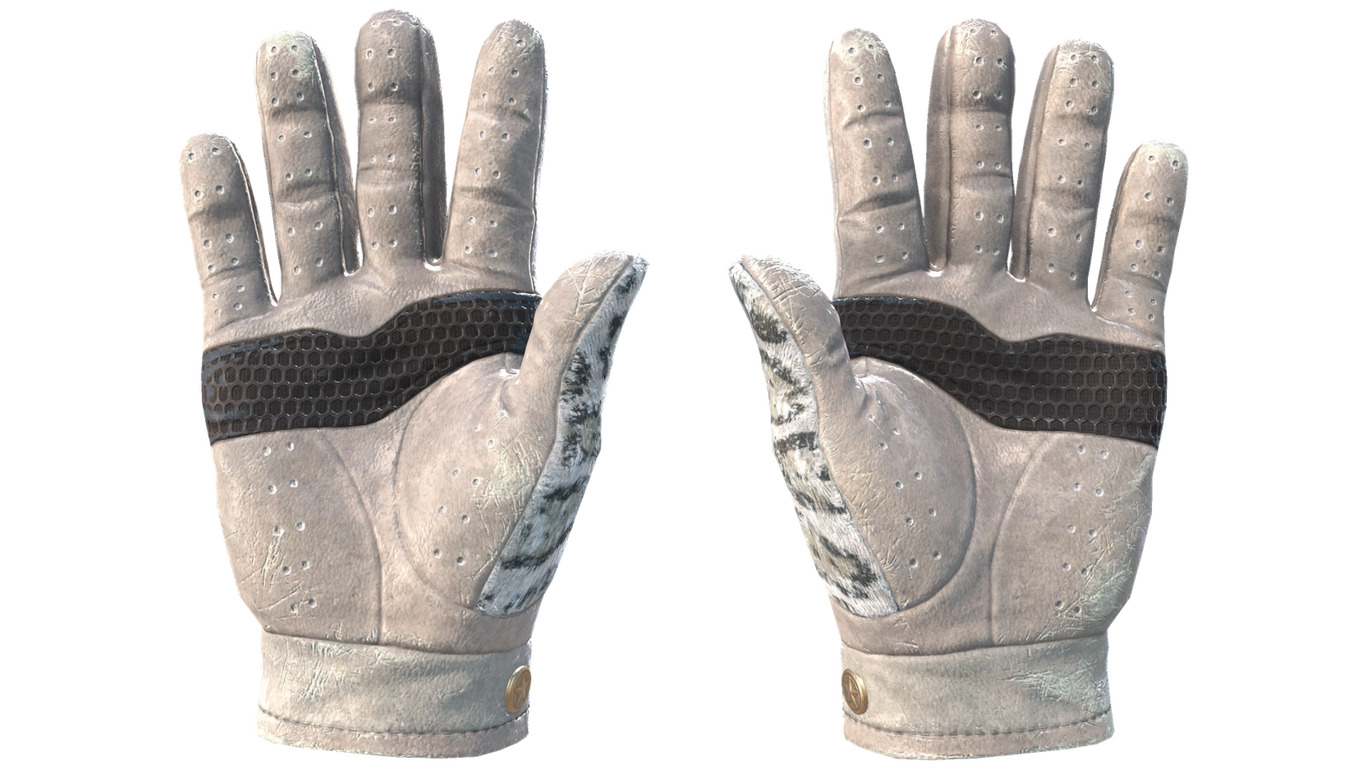 Snow Leopard image