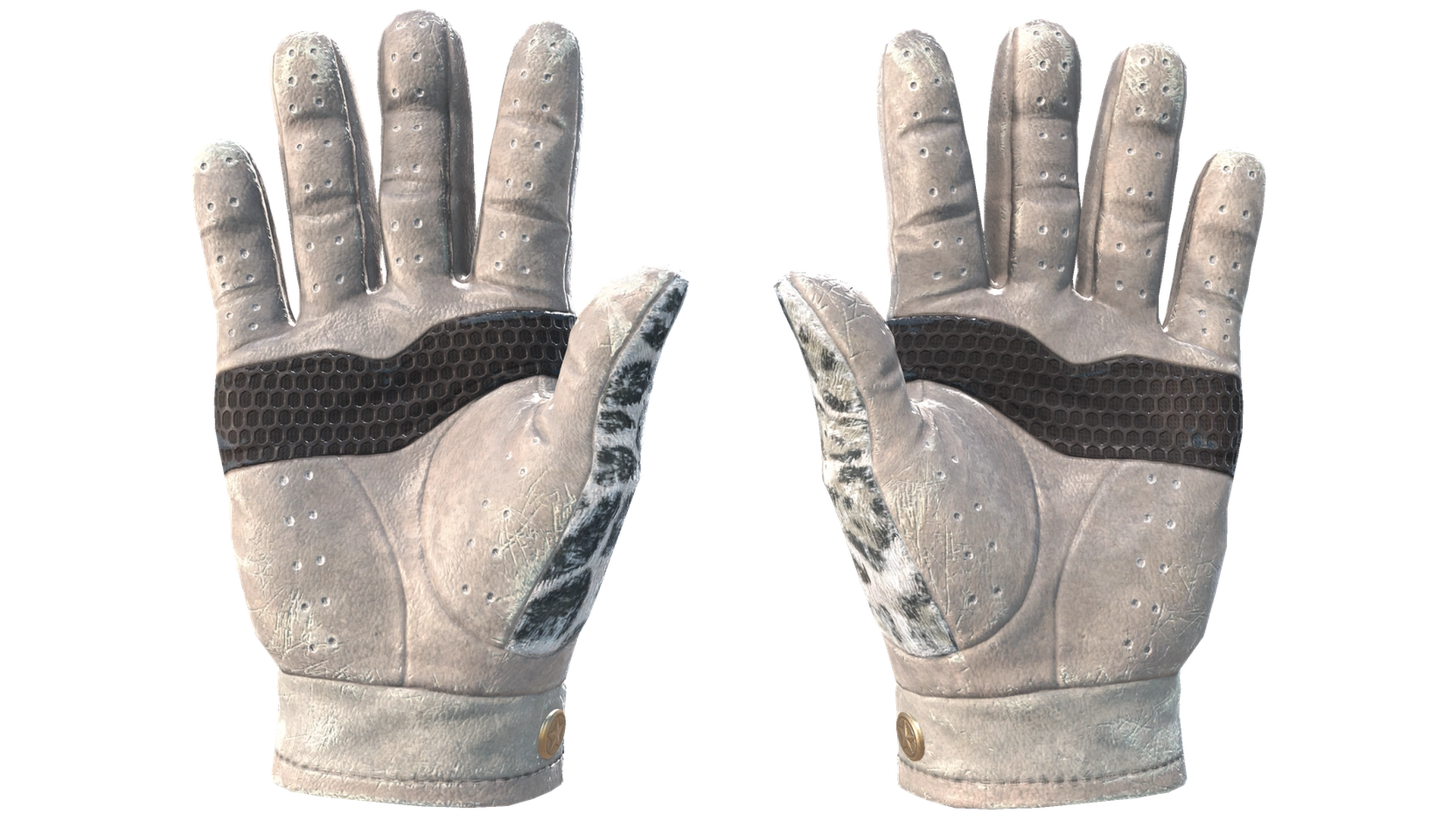 Snow Leopard image