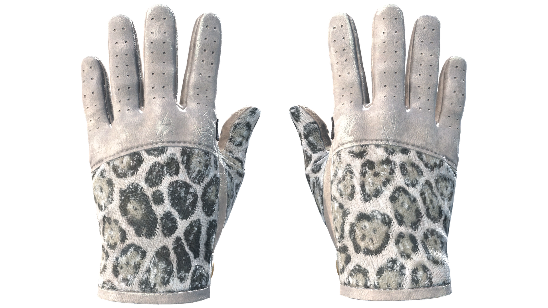 Snow Leopard image