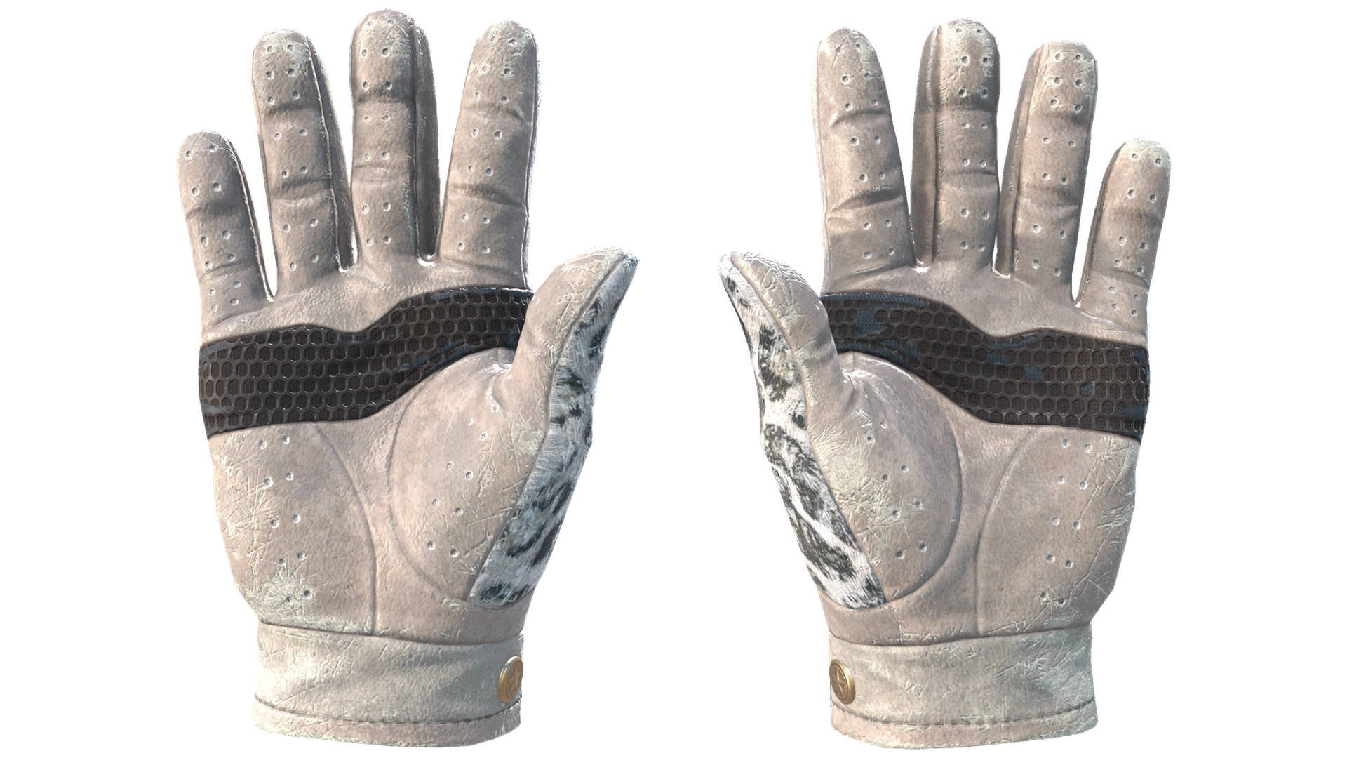 Snow Leopard image