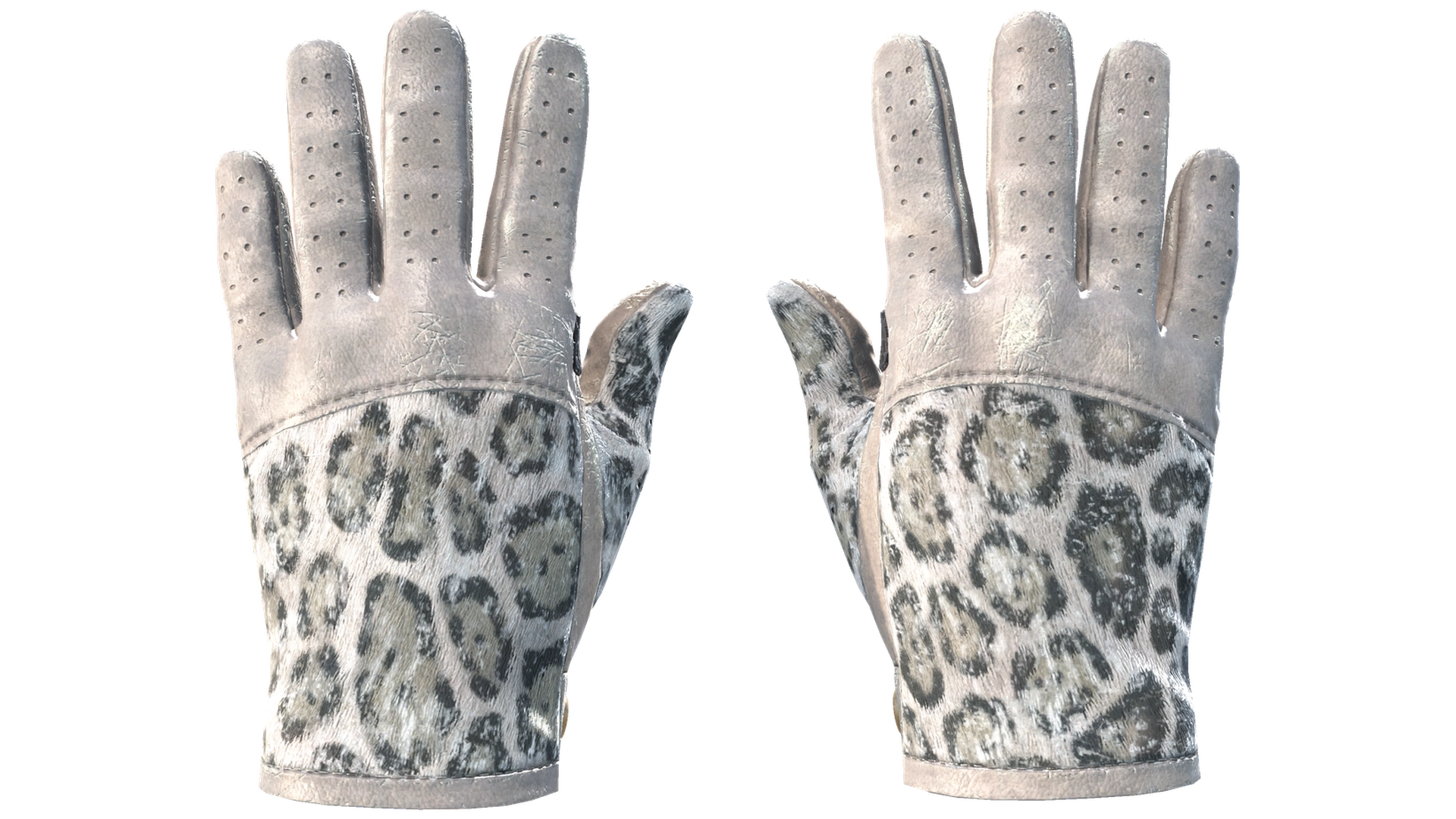 Snow Leopard image