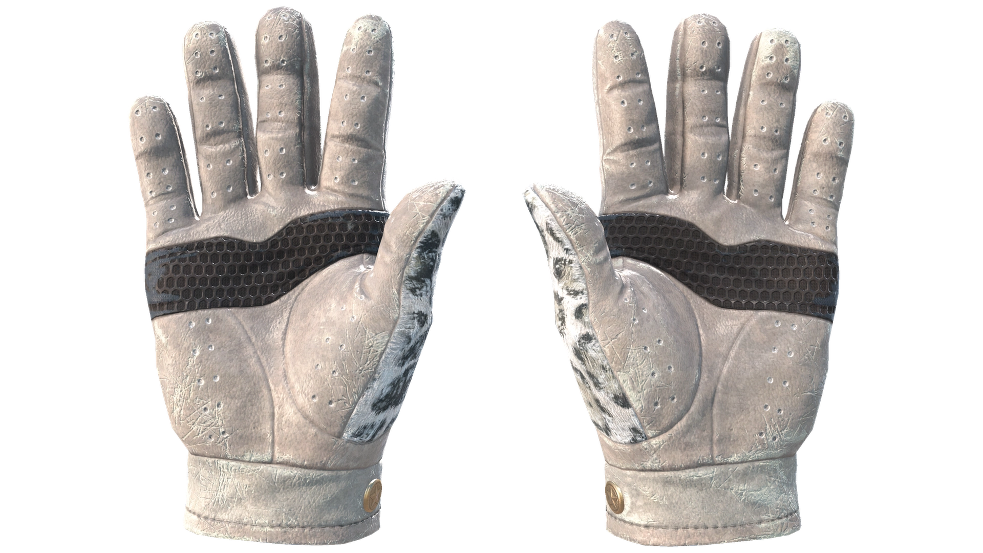 Snow Leopard image