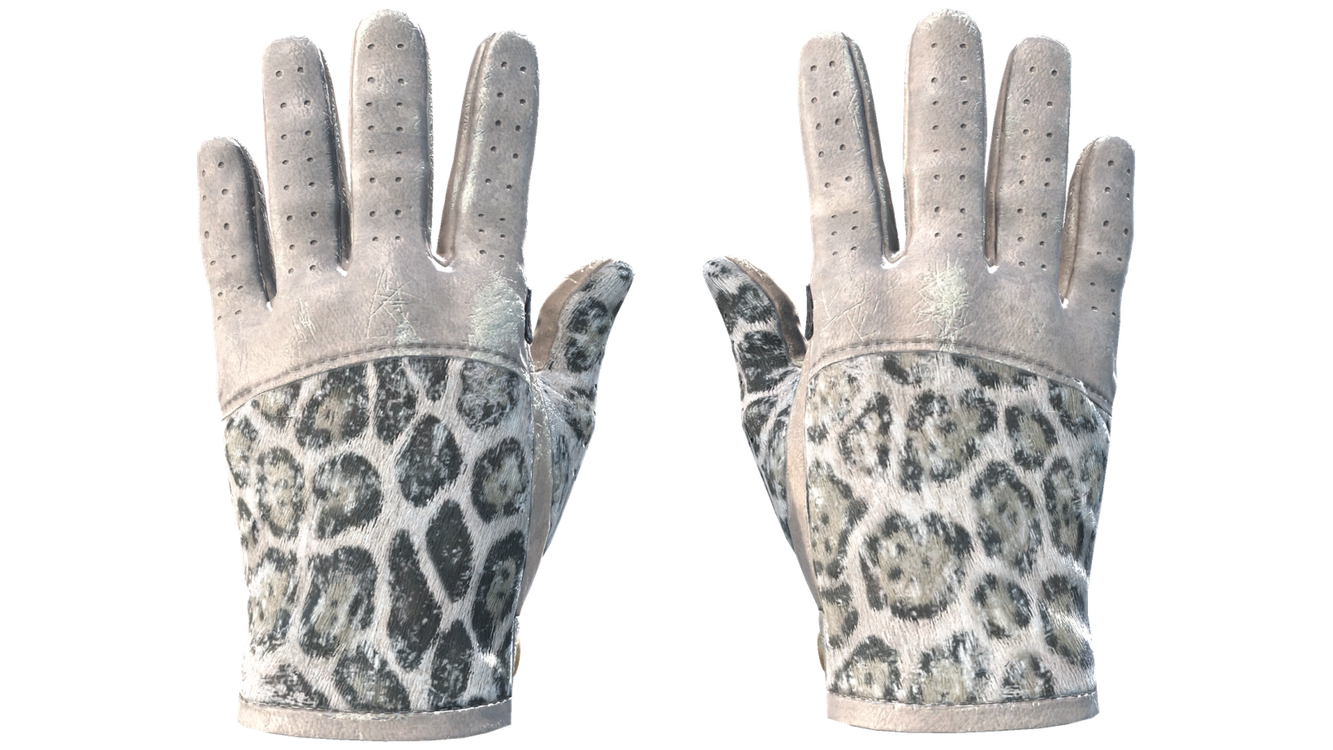 Snow Leopard image