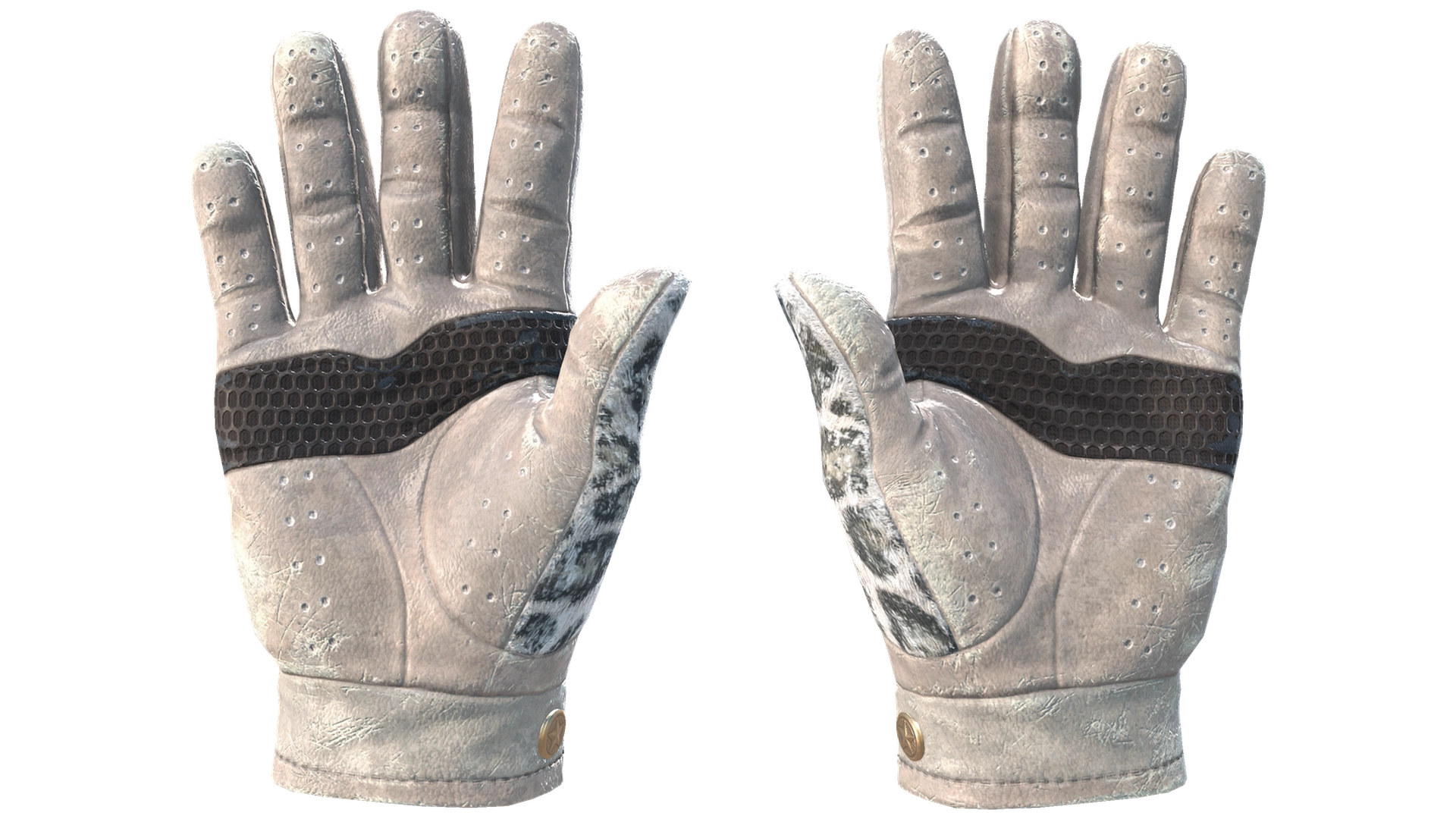 Snow Leopard image