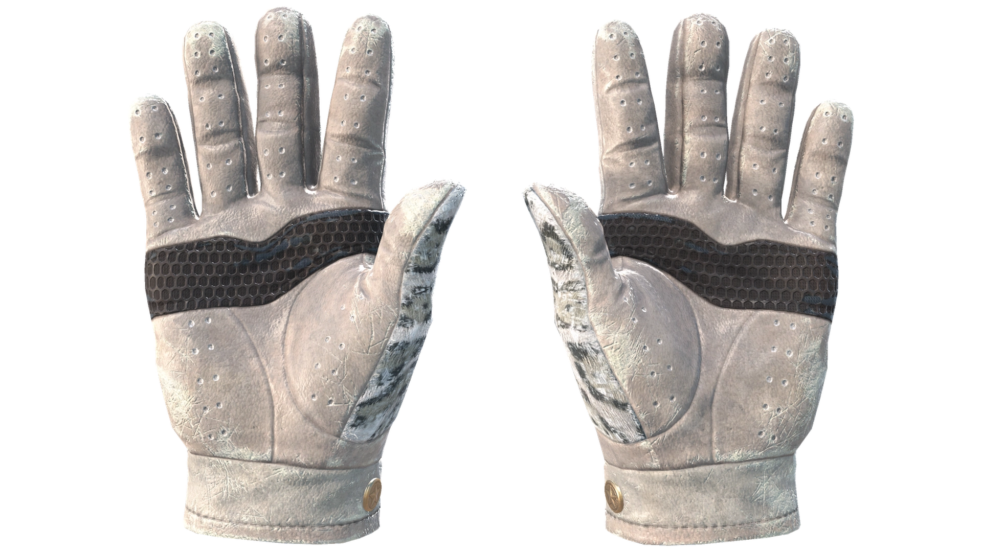 Snow Leopard image