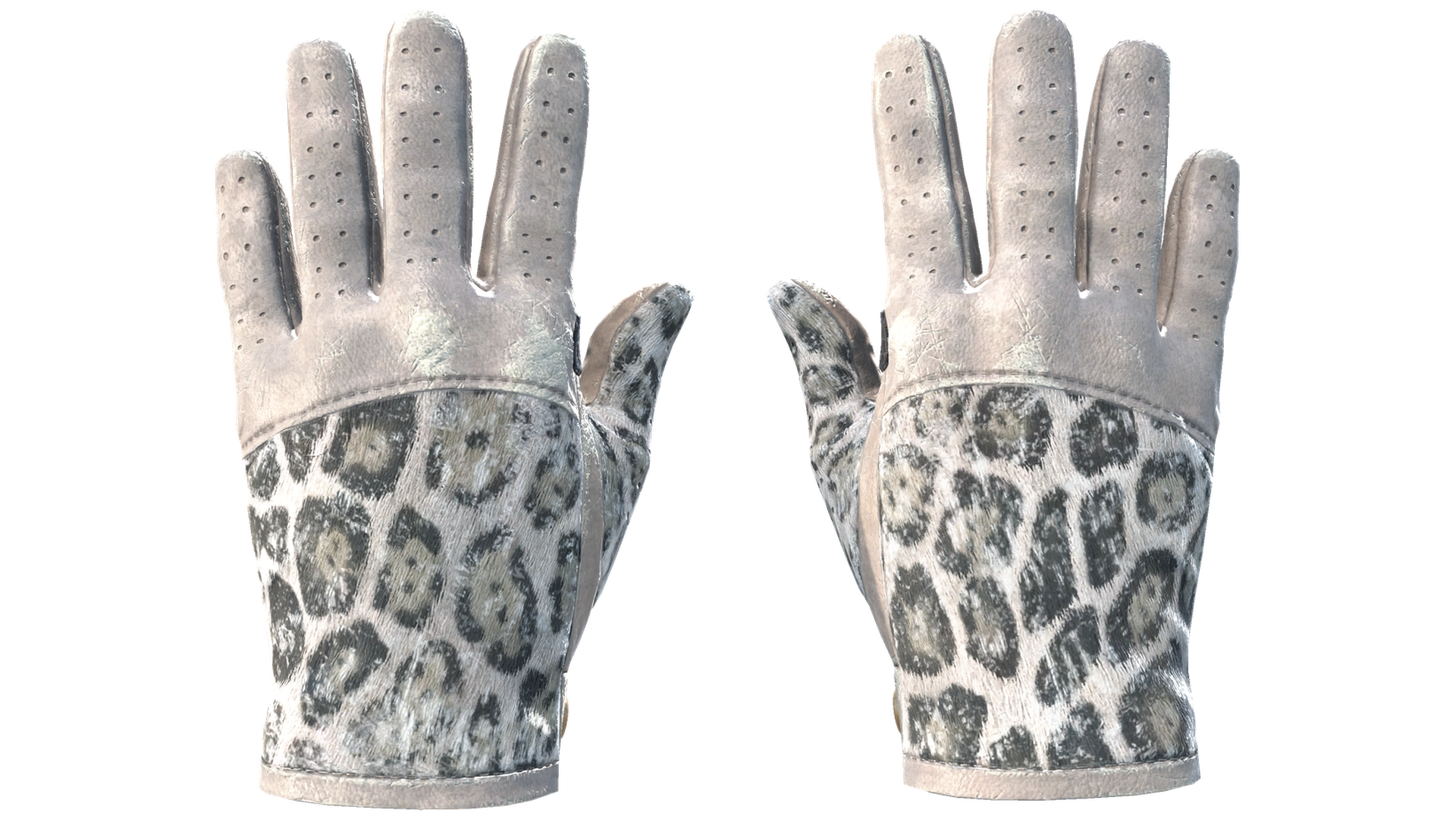 Snow Leopard image