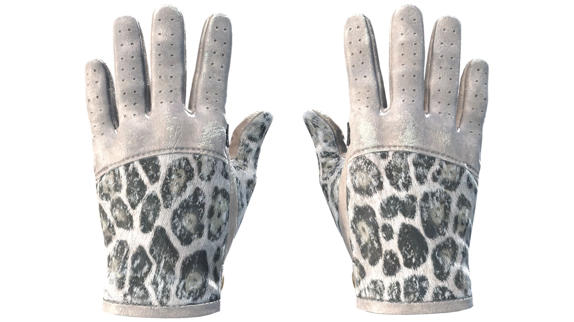 Snow Leopard image