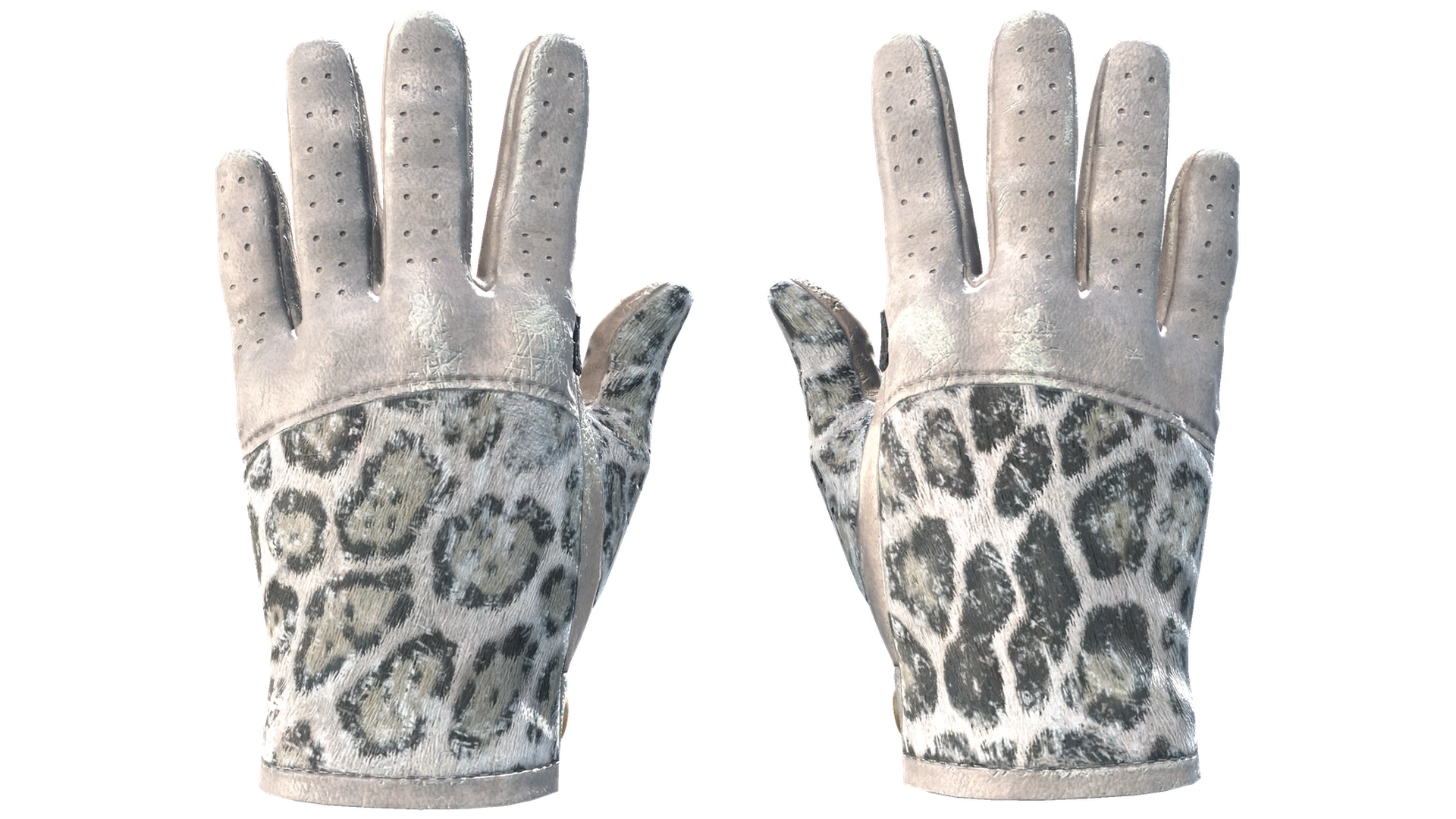 Snow Leopard image