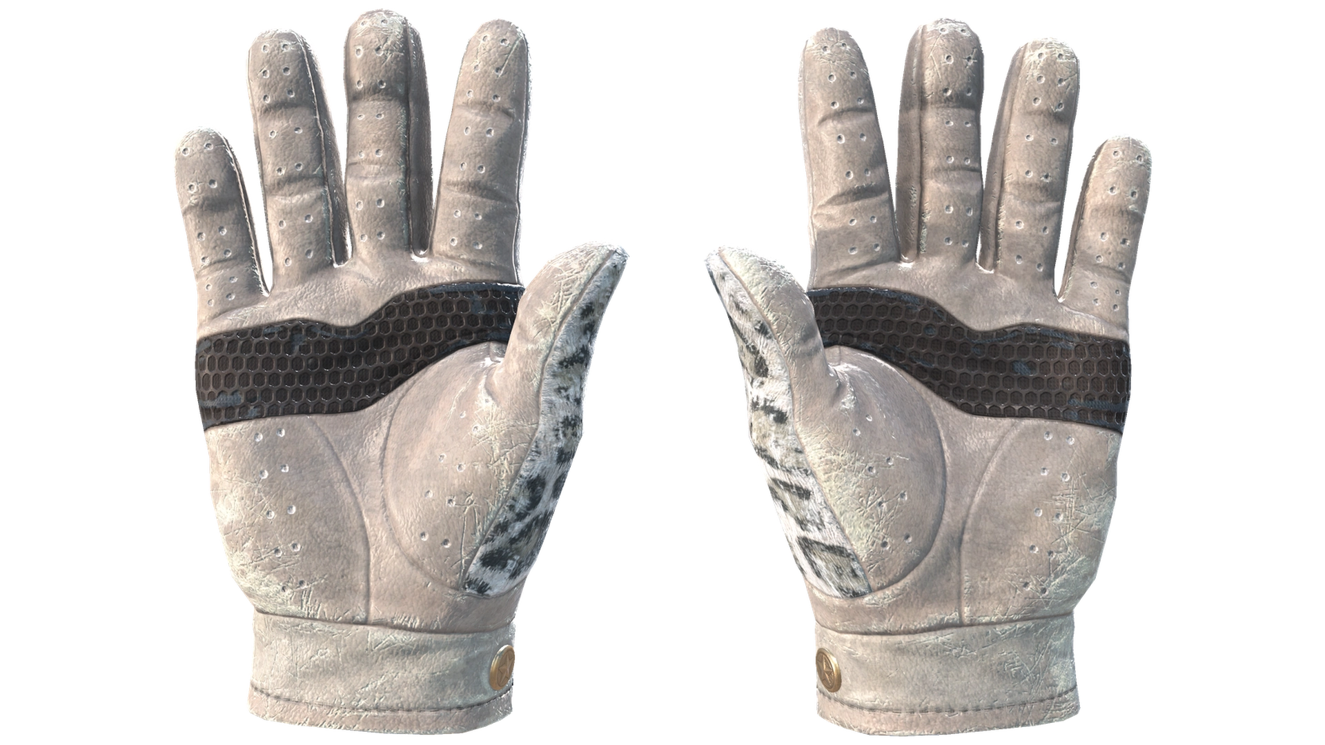 Snow Leopard image