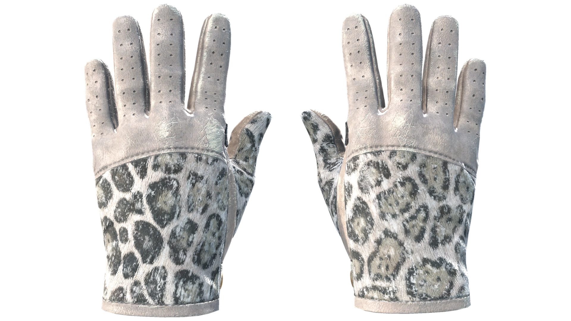 Snow Leopard image