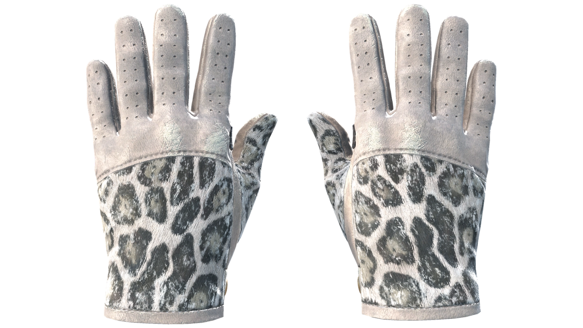 Snow Leopard image