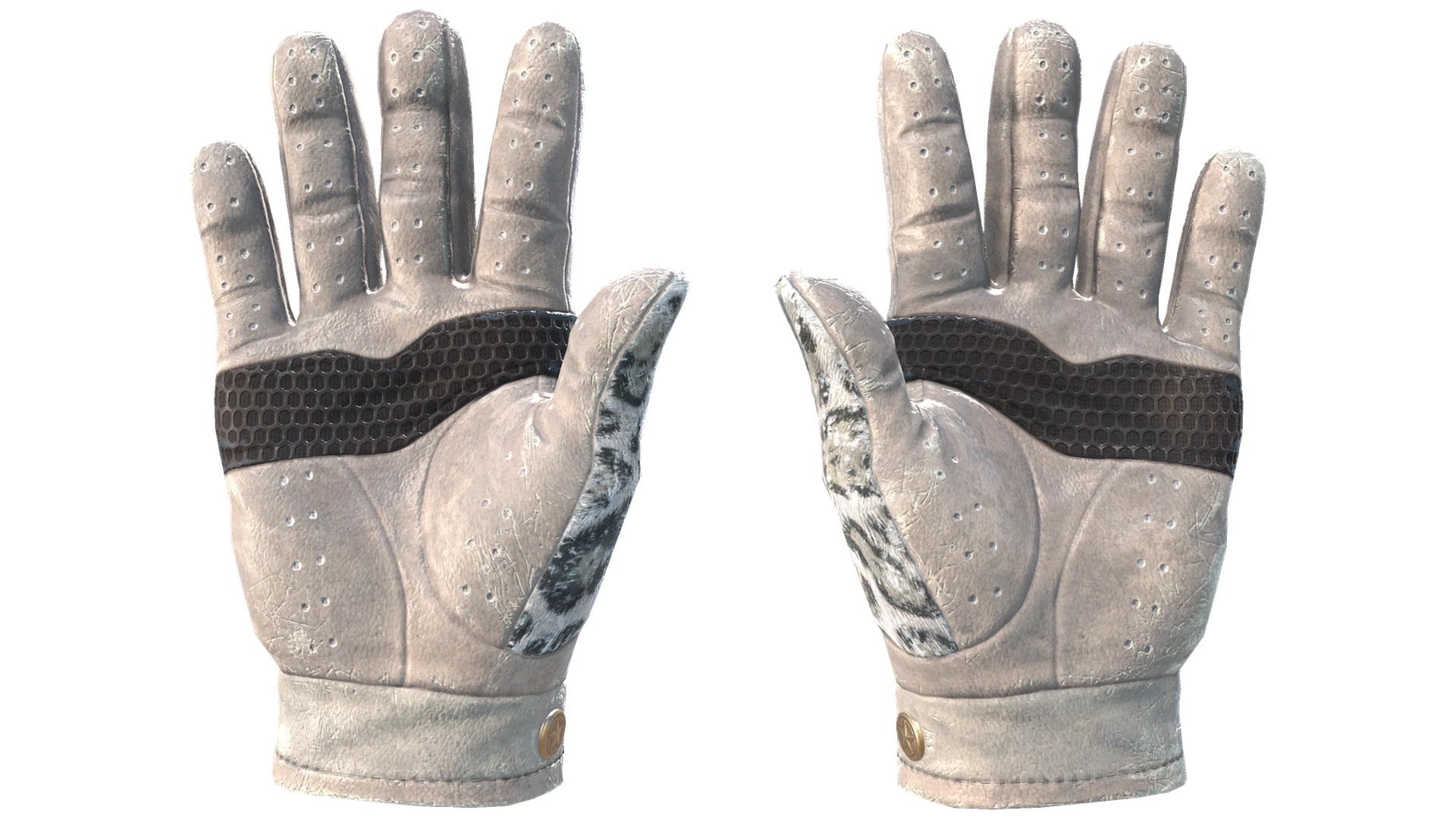 Snow Leopard image