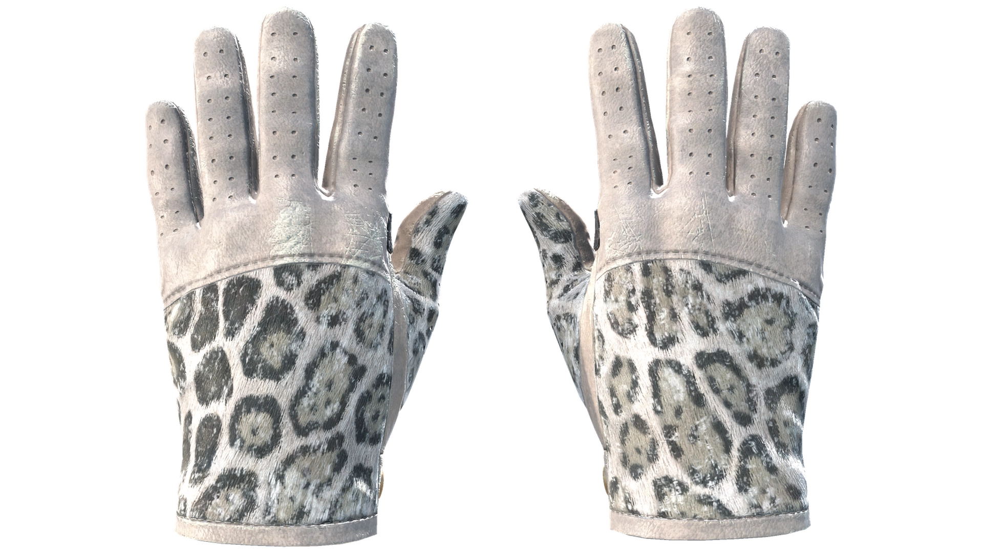 Snow Leopard image