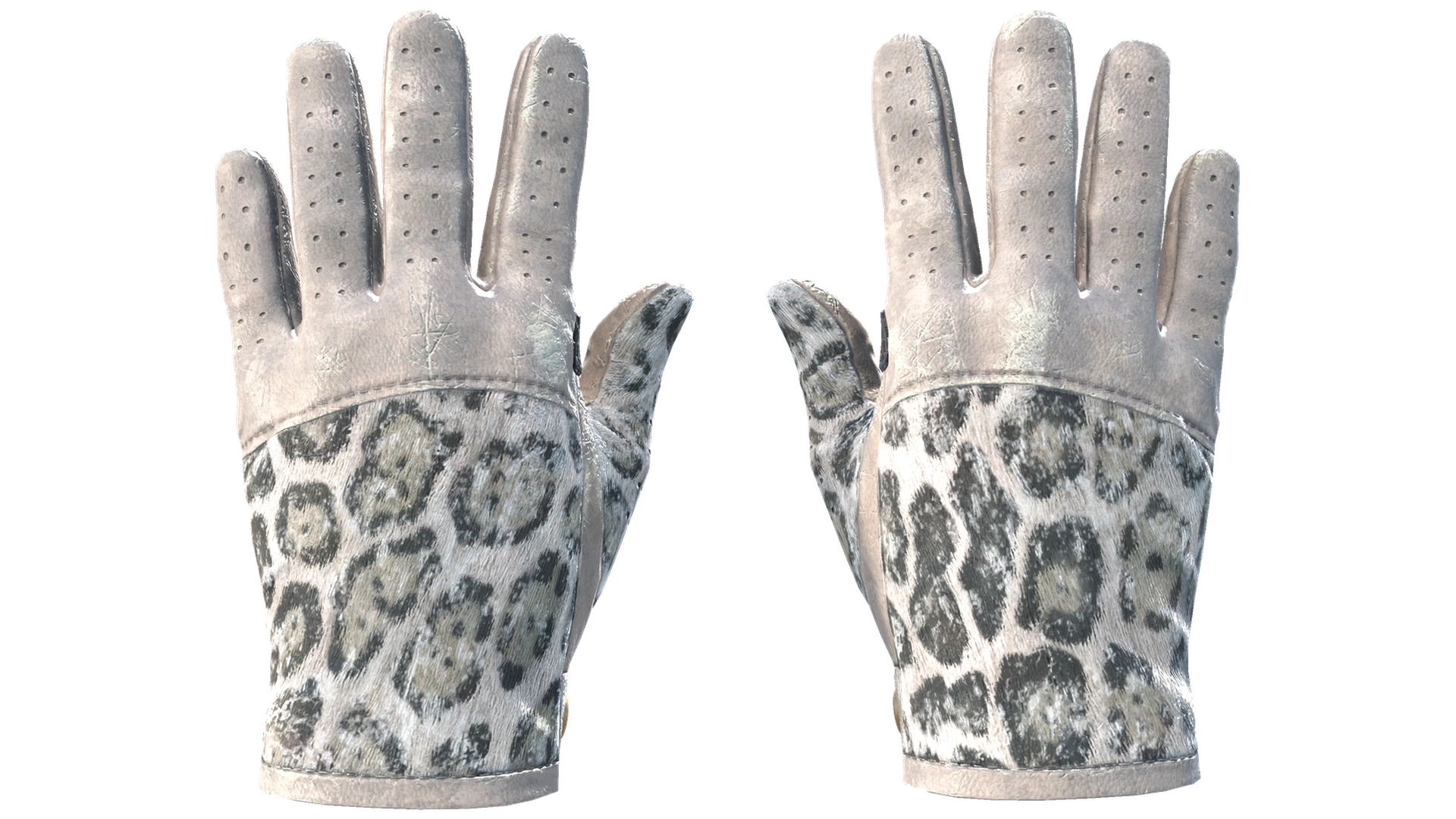 Snow Leopard image