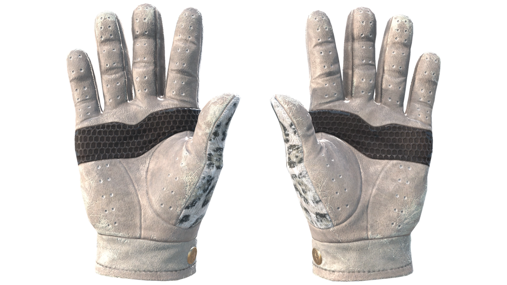 Snow Leopard image