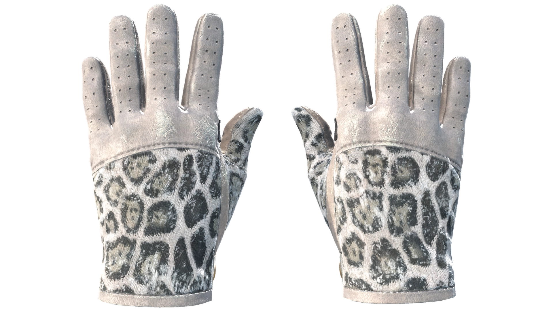 Snow Leopard image