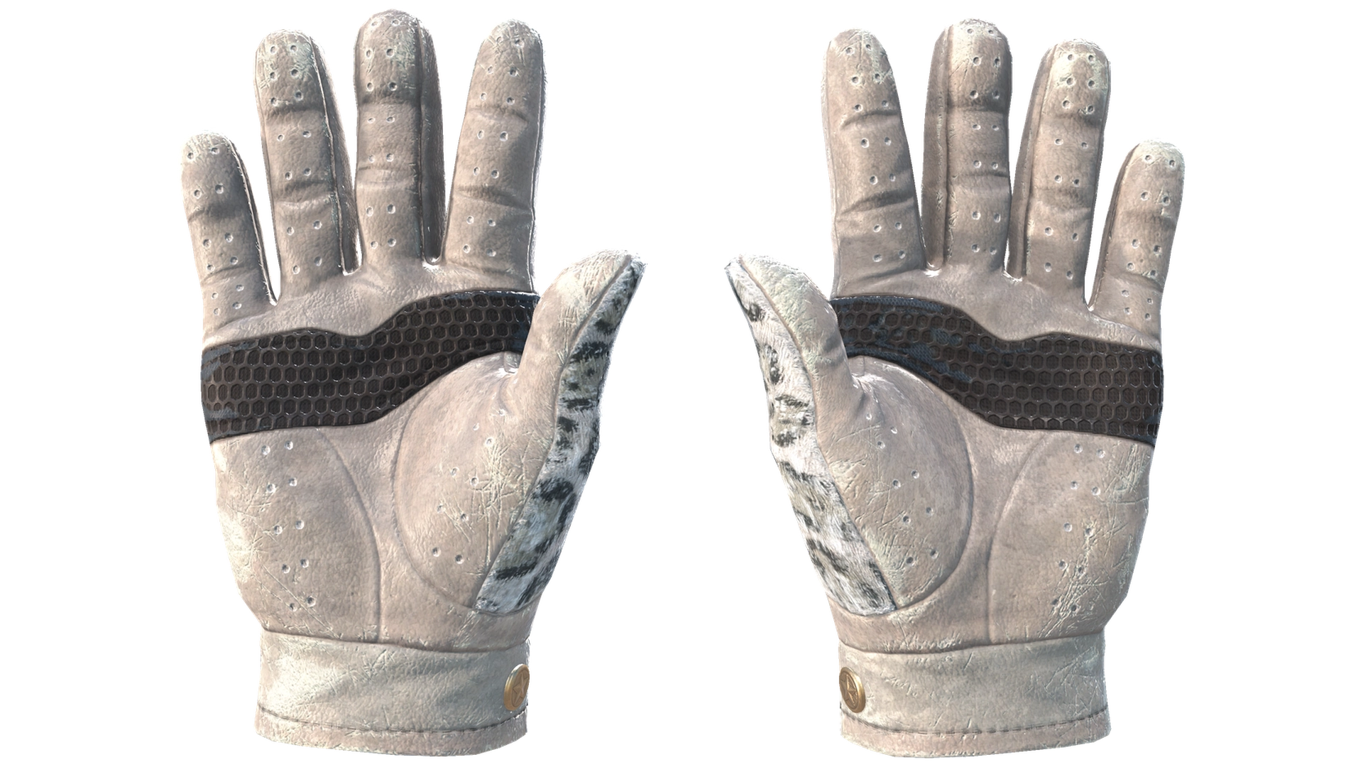 Snow Leopard image