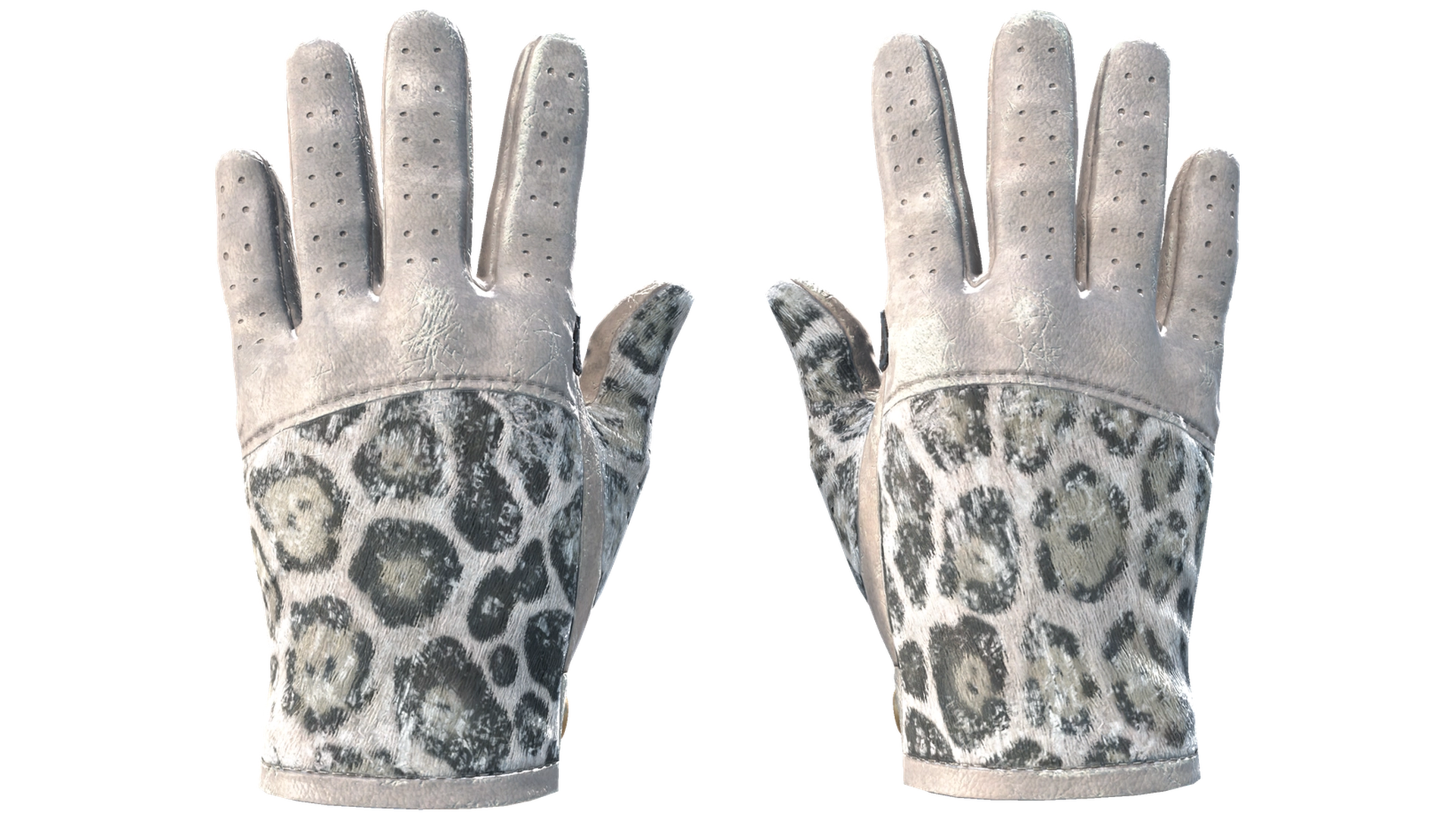 Snow Leopard image