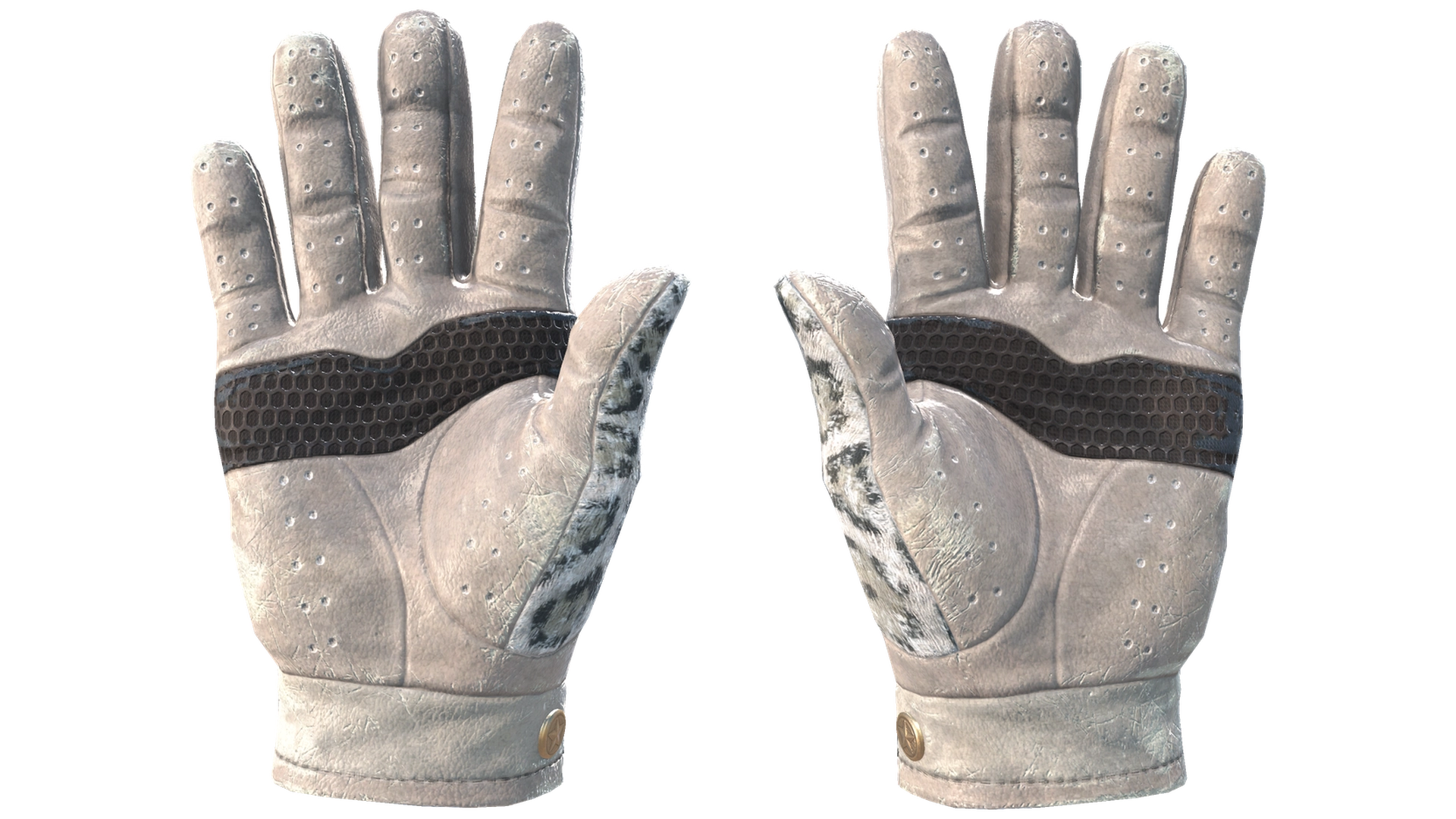 Snow Leopard image