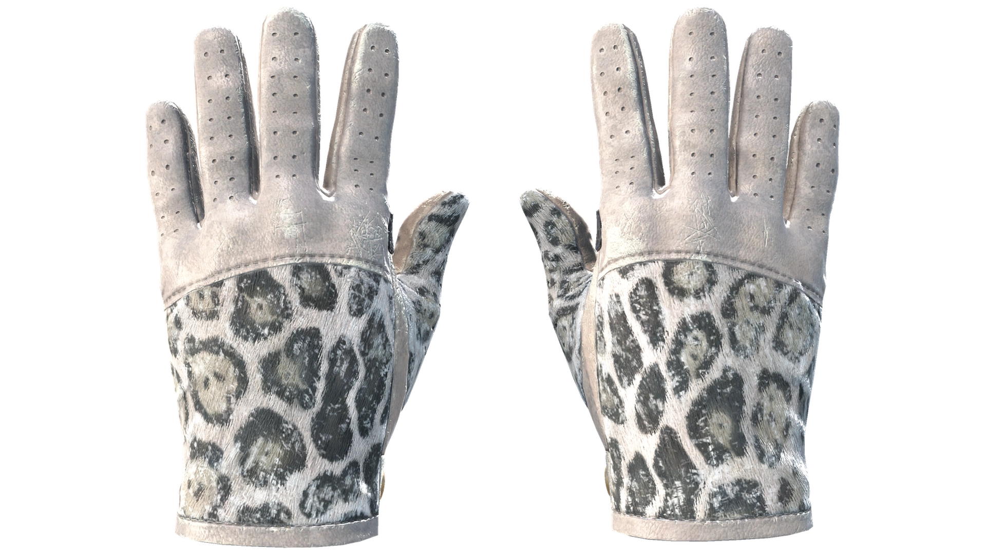 Snow Leopard image