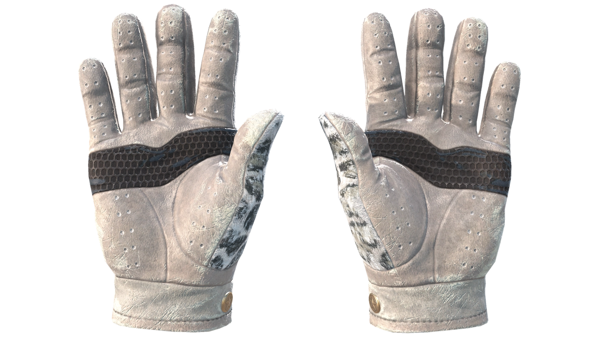 Snow Leopard image