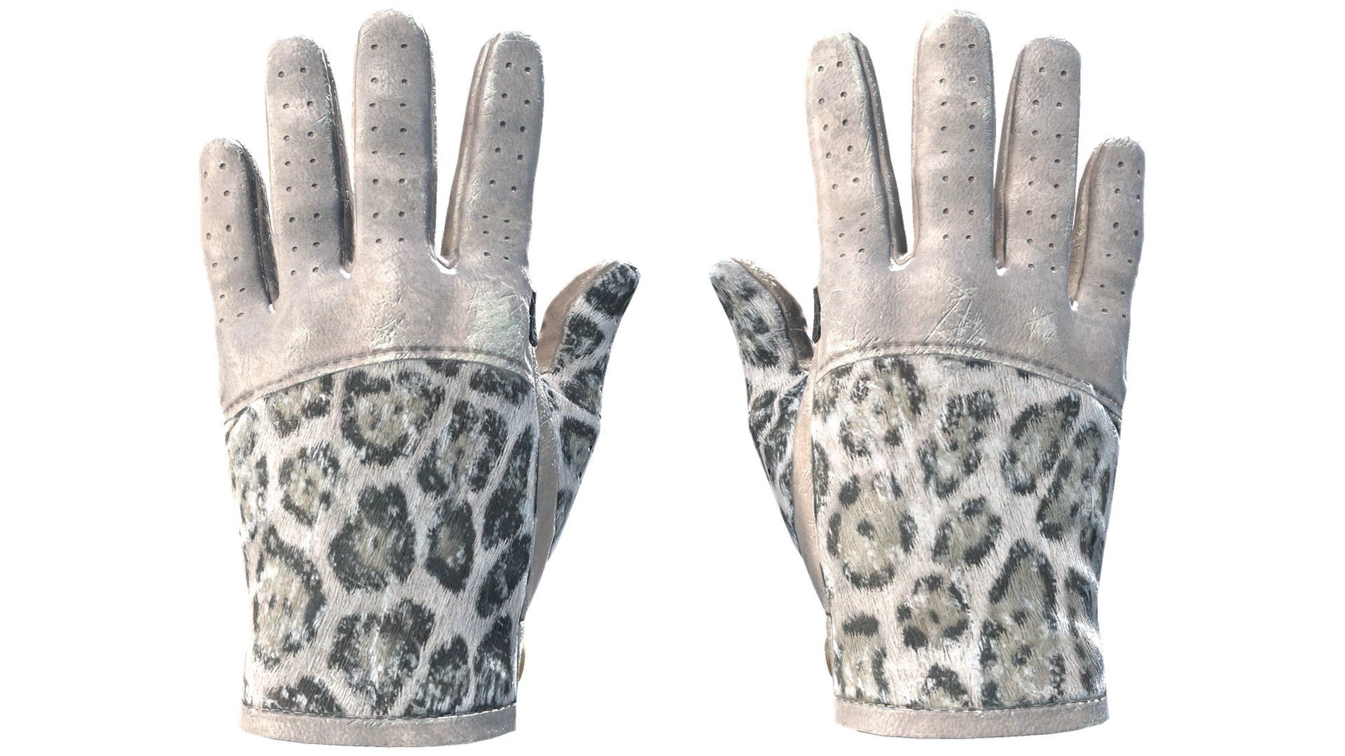 Snow Leopard image