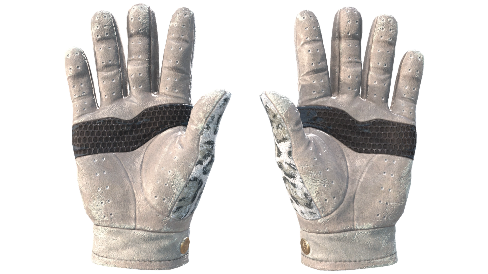 Snow Leopard image