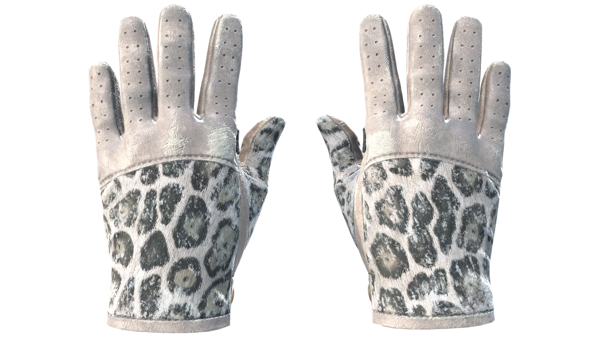 Snow Leopard image