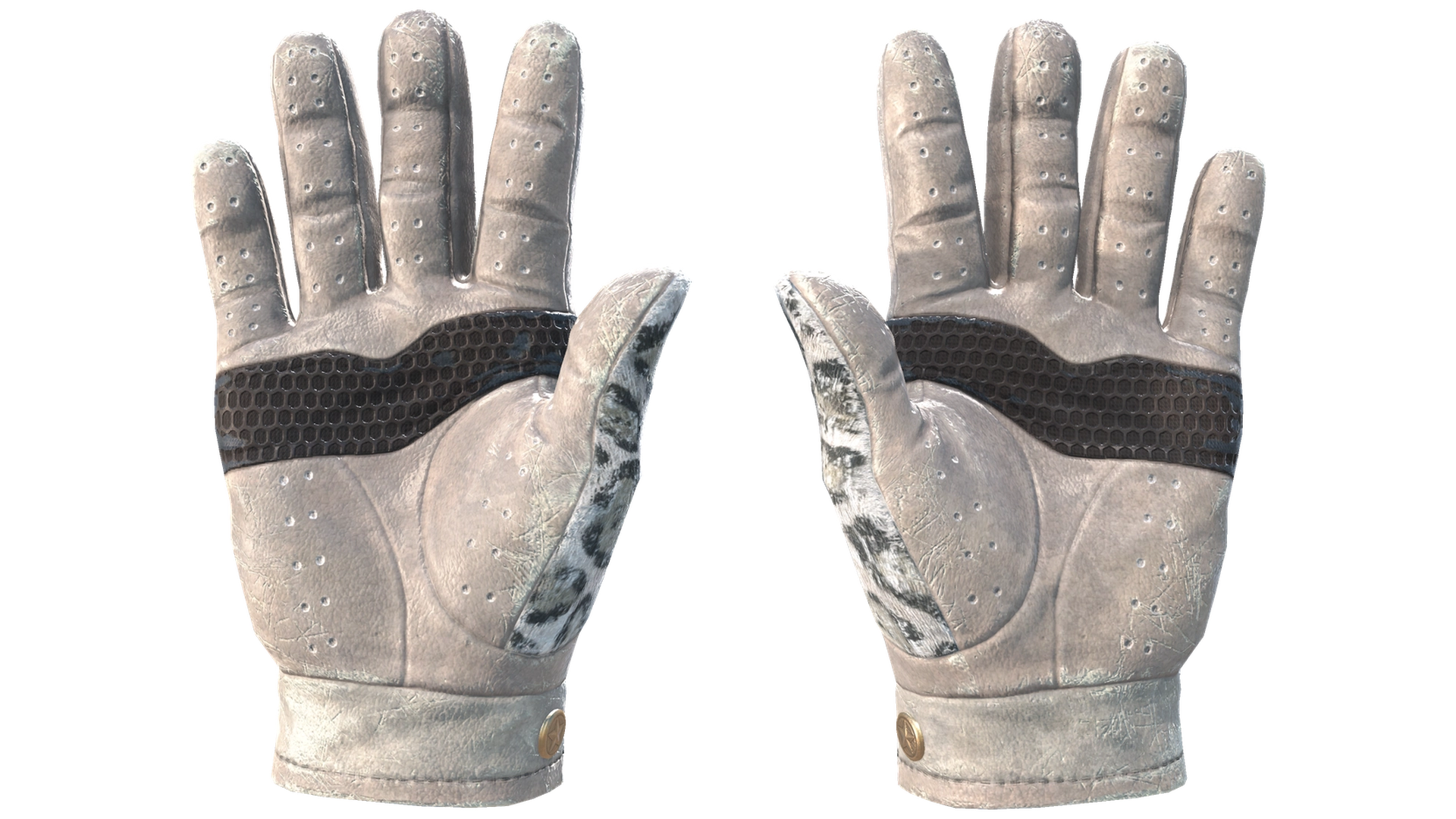 Snow Leopard image